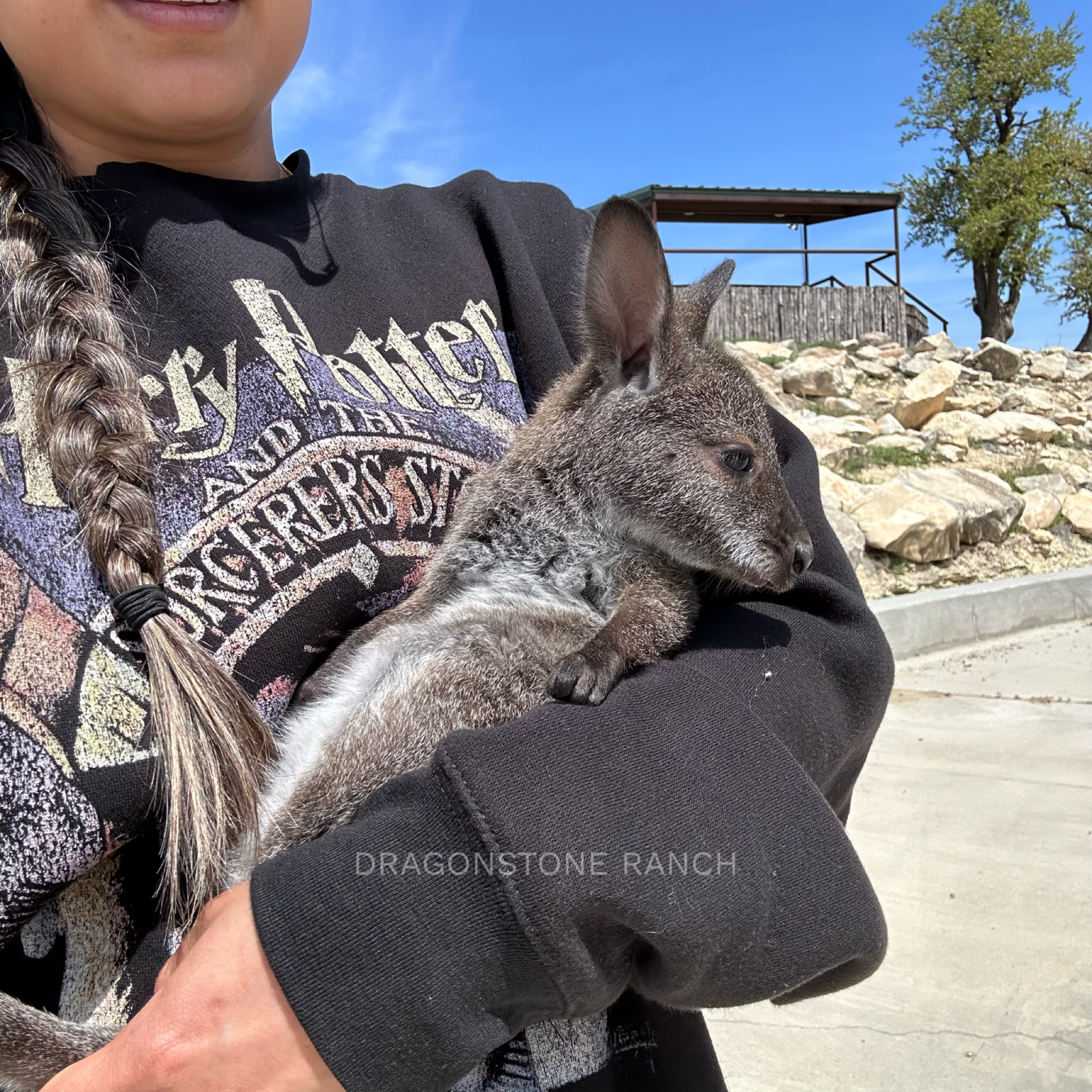 2F8C4C41-46A1-4F3F-BEBE-8AE2E8C880FB