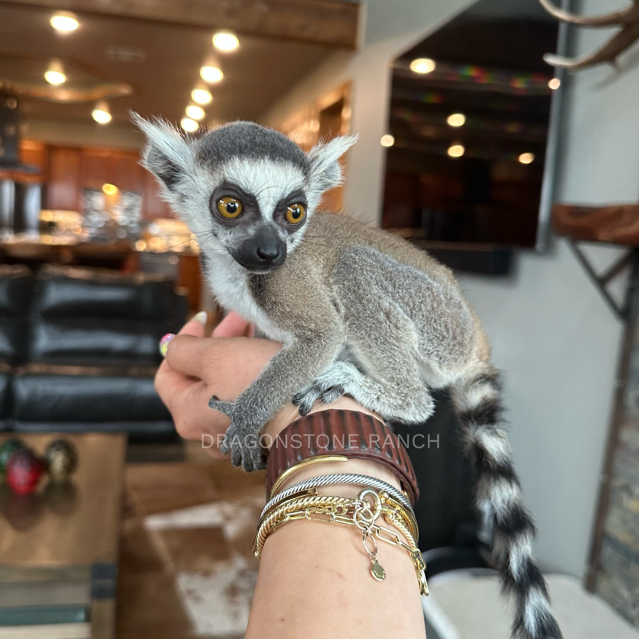 A2C79FD2-B29C-4F3E-8402-D3D47B808101