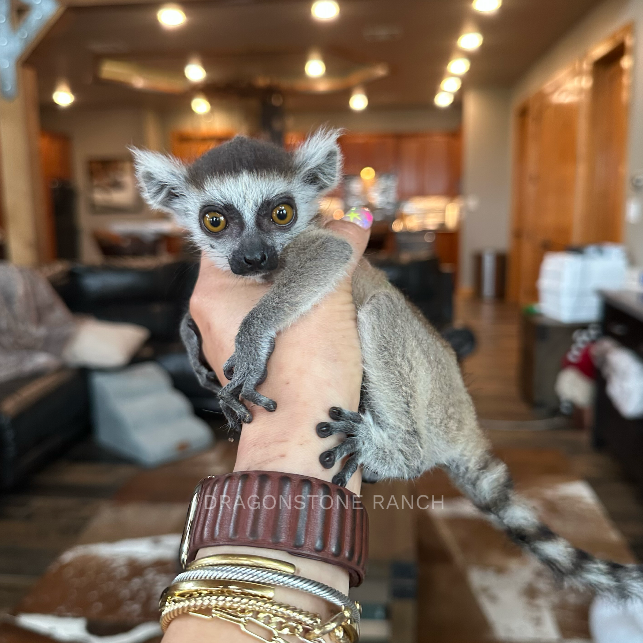 4CD71555-DE7D-42DB-9458-7ECF3372E80A