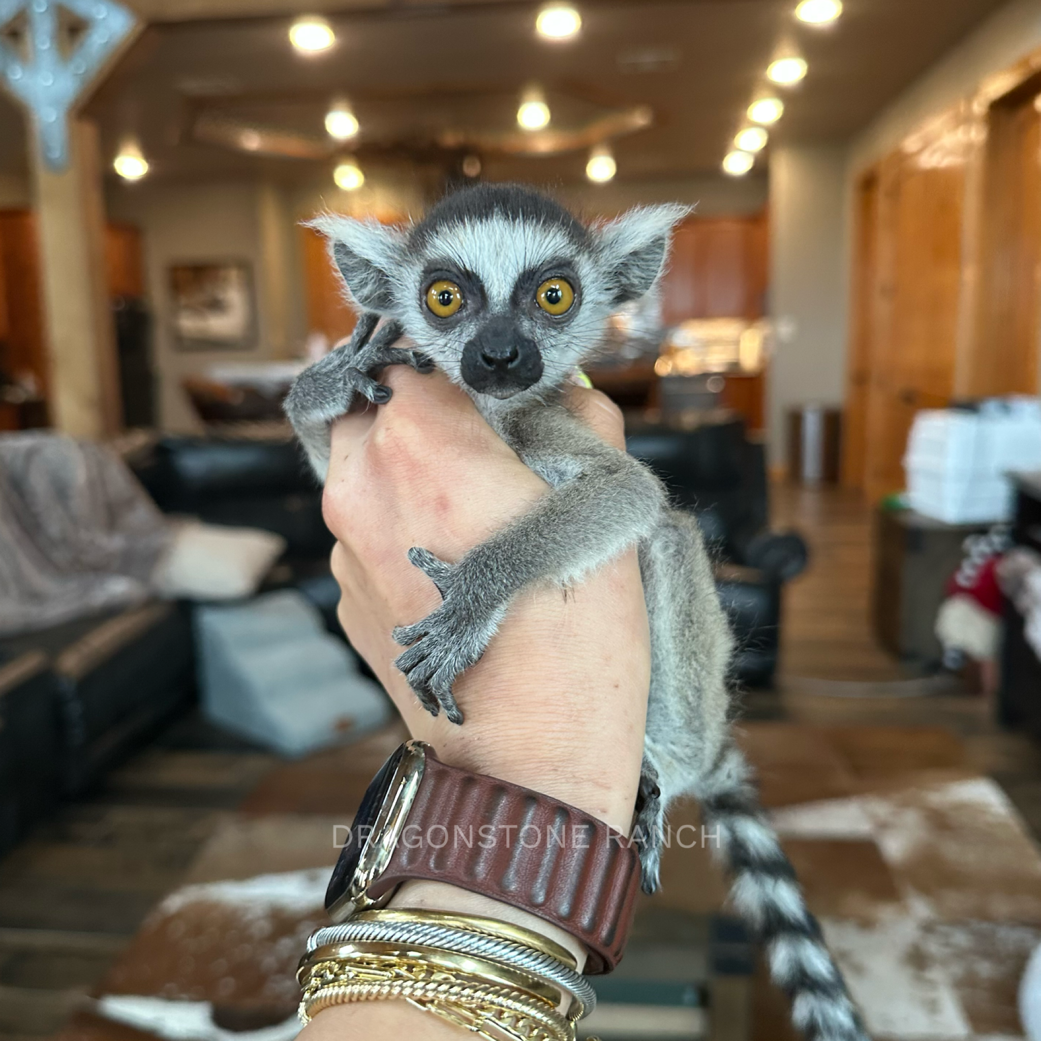 039E507B-7D7A-4886-A725-C2AC5E01BD68