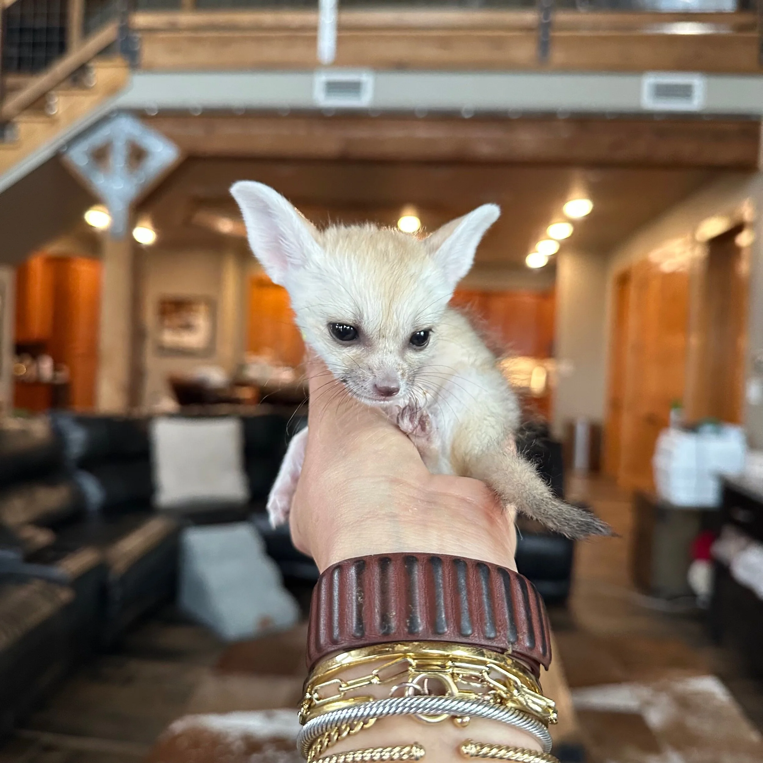 AA107148-8BB1-48C0-8893-BF33F723B17F