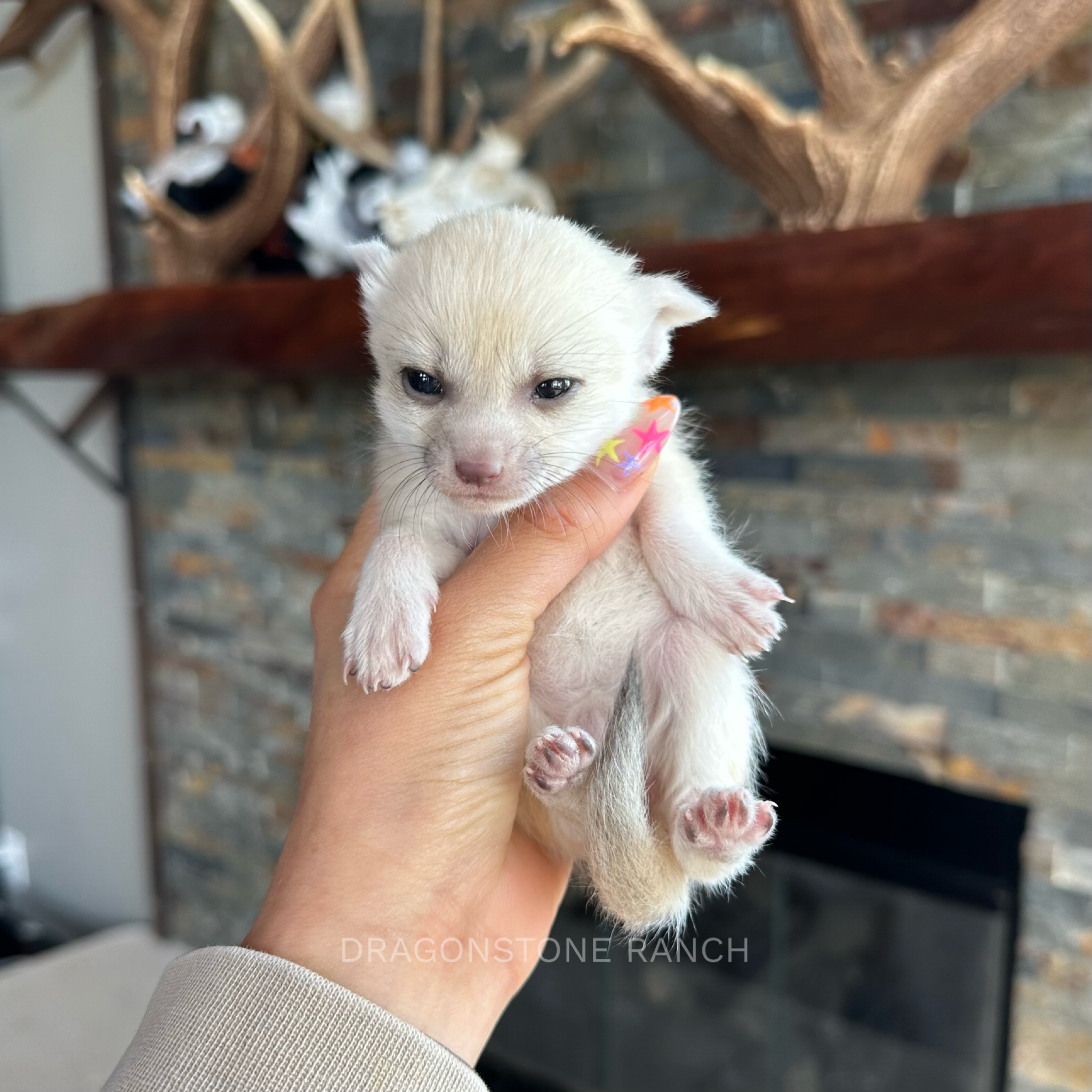 DDDDA55D-930D-48A1-BE92-5852C7D328E0