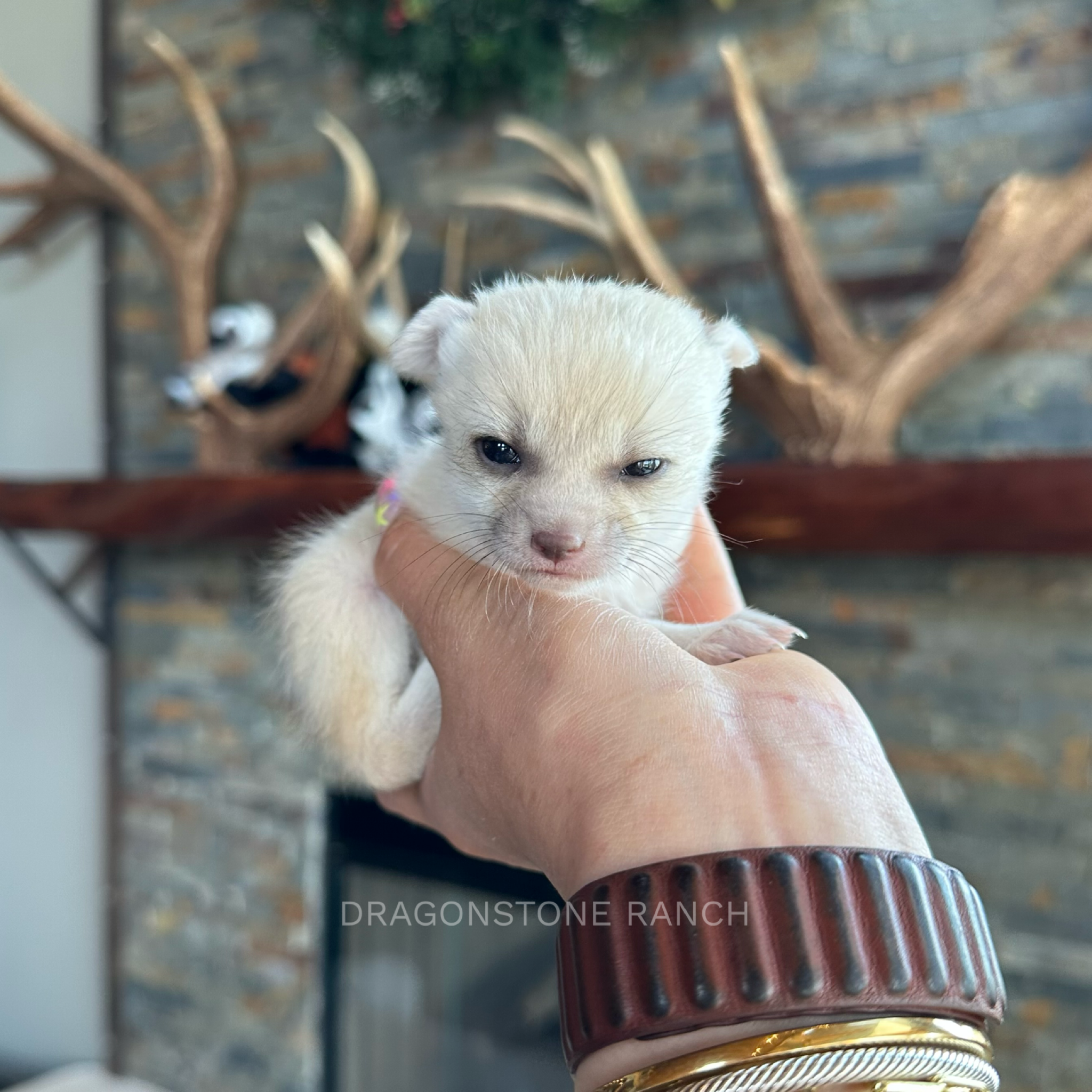 F761400D-ECF8-4238-A001-932793BA2EC9