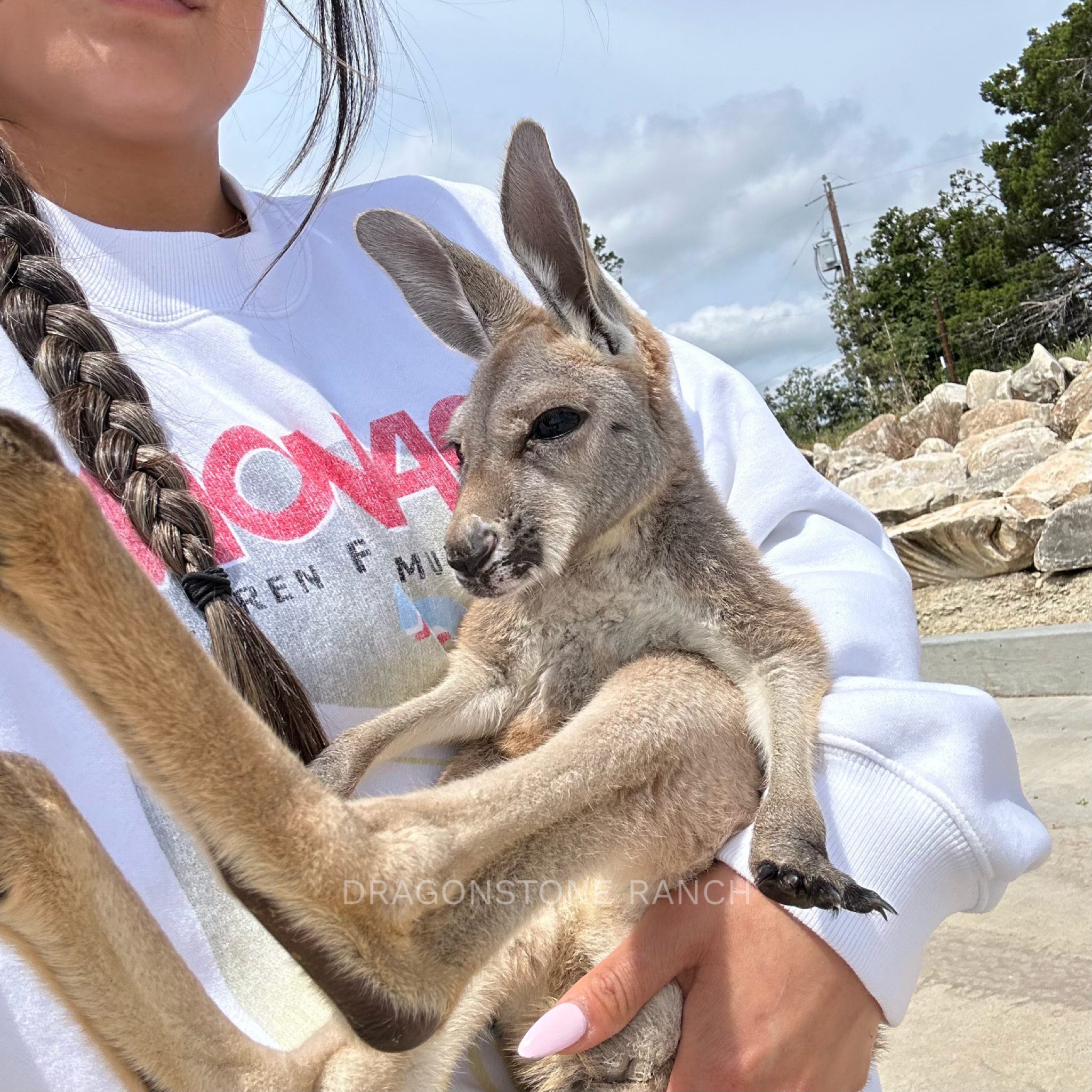 36515419-506C-4BC2-B06F-0985649BA0F1