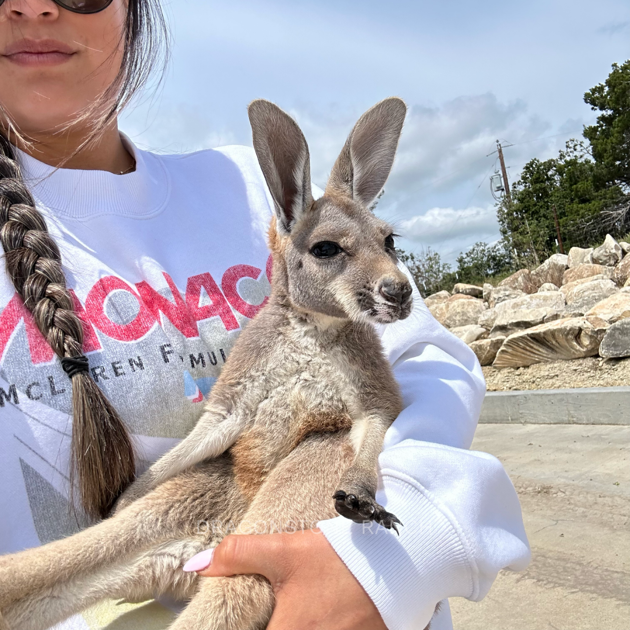 A790E704-4BF7-4FED-AAE9-39DEBDD60AEF