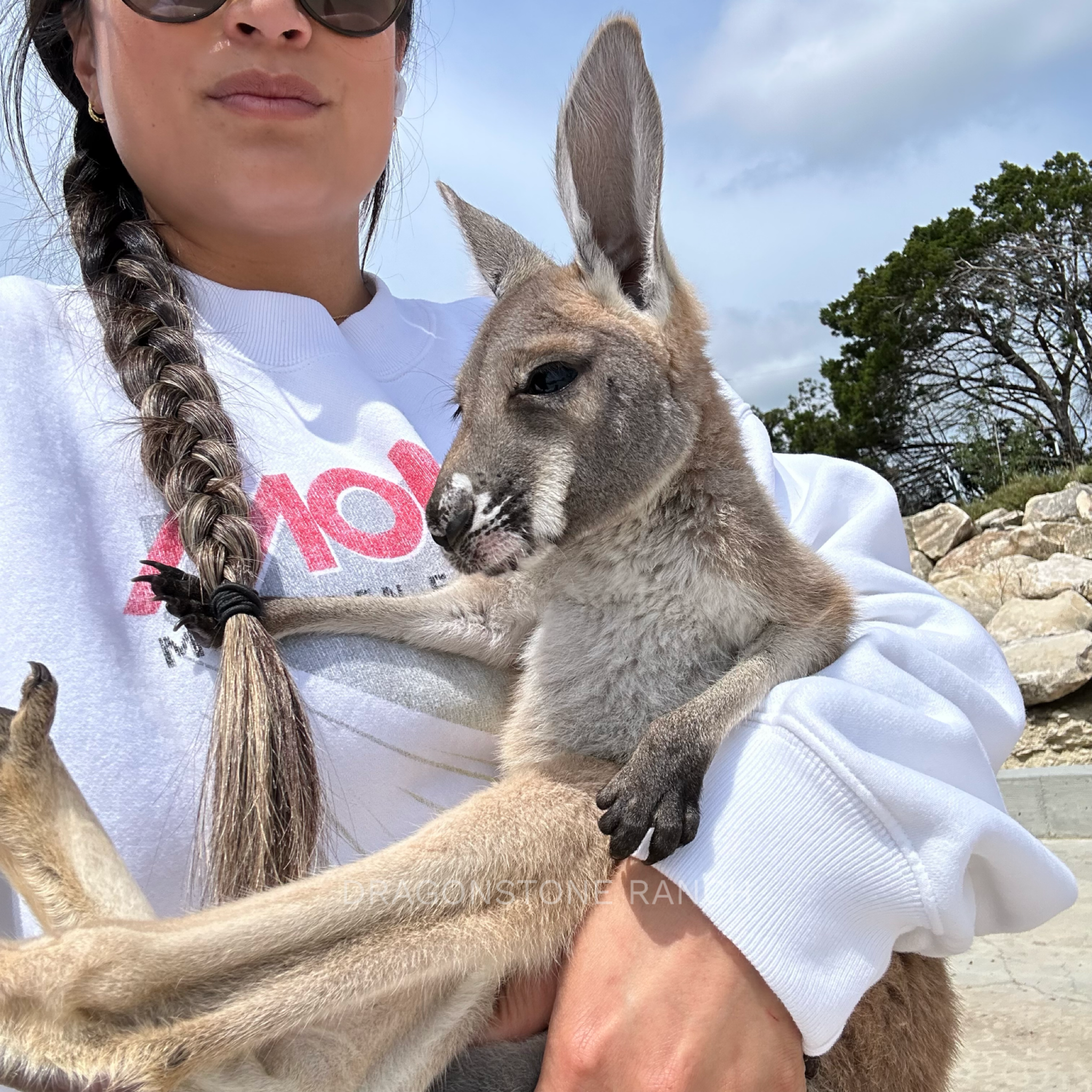 234FF136-C880-419F-9DA1-91CFBBD56B32