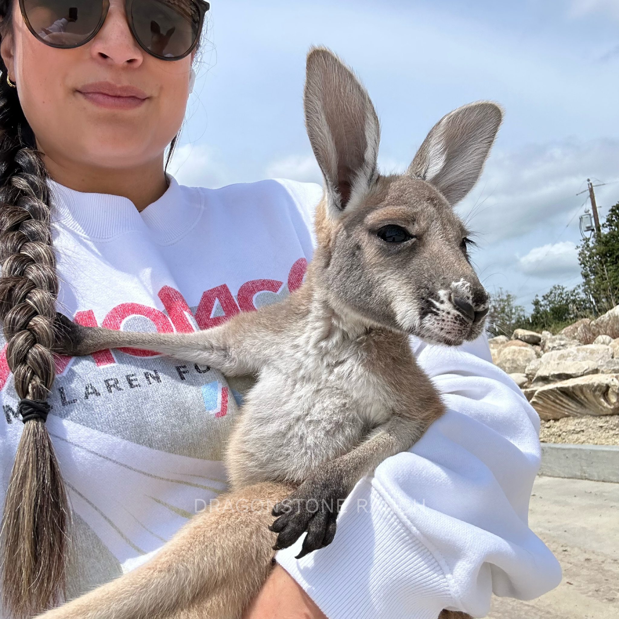 77AC3B7C-4644-4744-9862-EFC974B4CD36