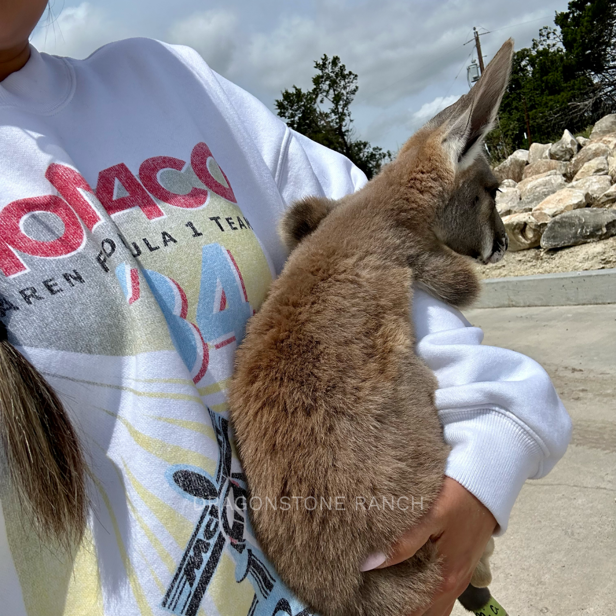 5C394442-C4A1-4240-ACCC-E95E84C98885