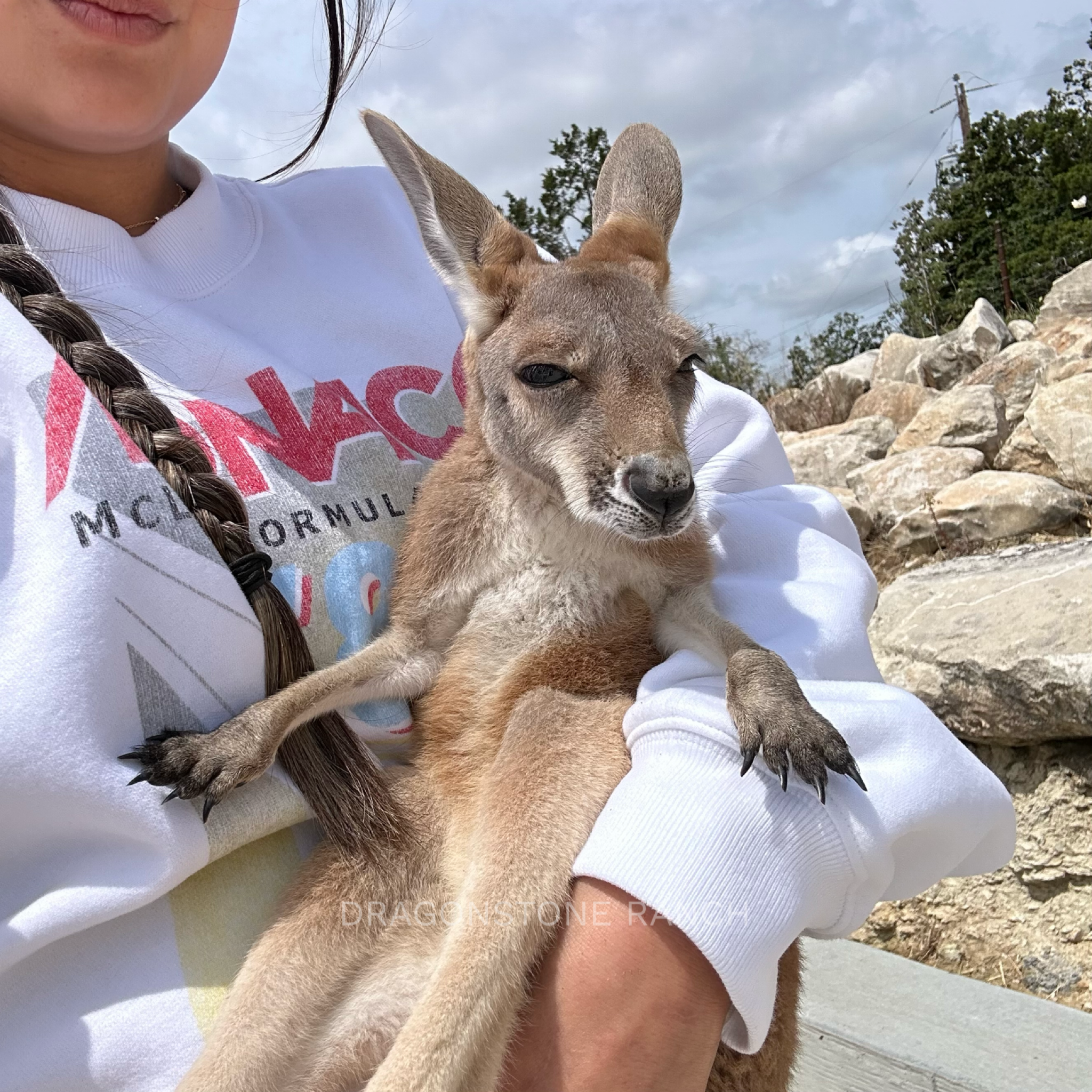 36F7A13E-52D9-40E9-94B4-F1A81E431C59