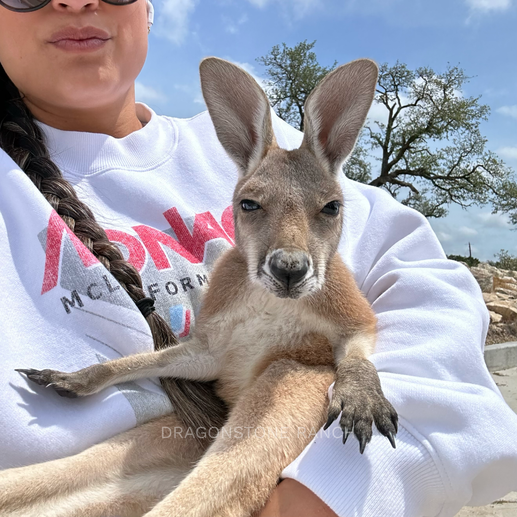 89AAE5D2-797C-46C4-8736-9494ED436E39