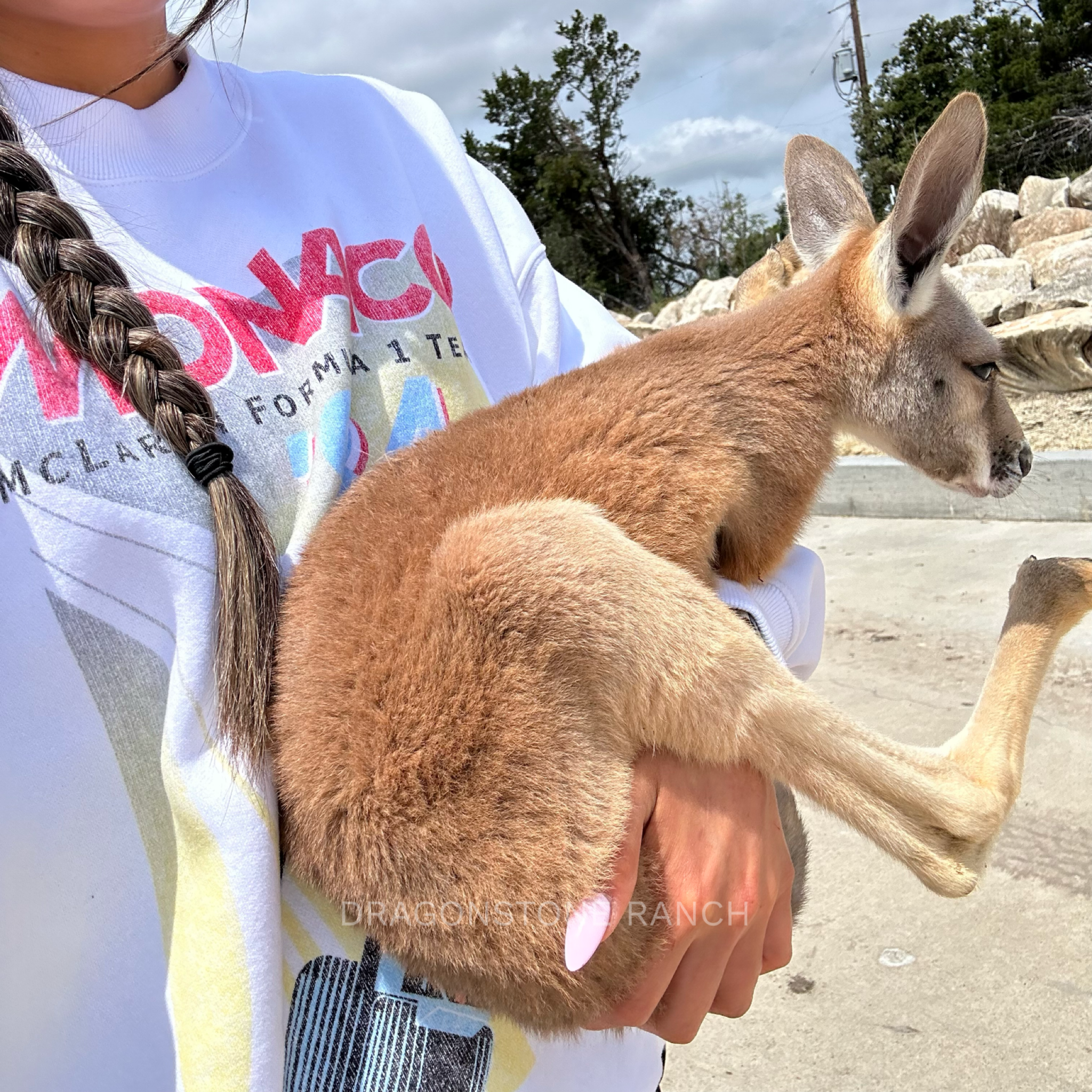 612A88F2-D882-497F-AF59-B67689B45743