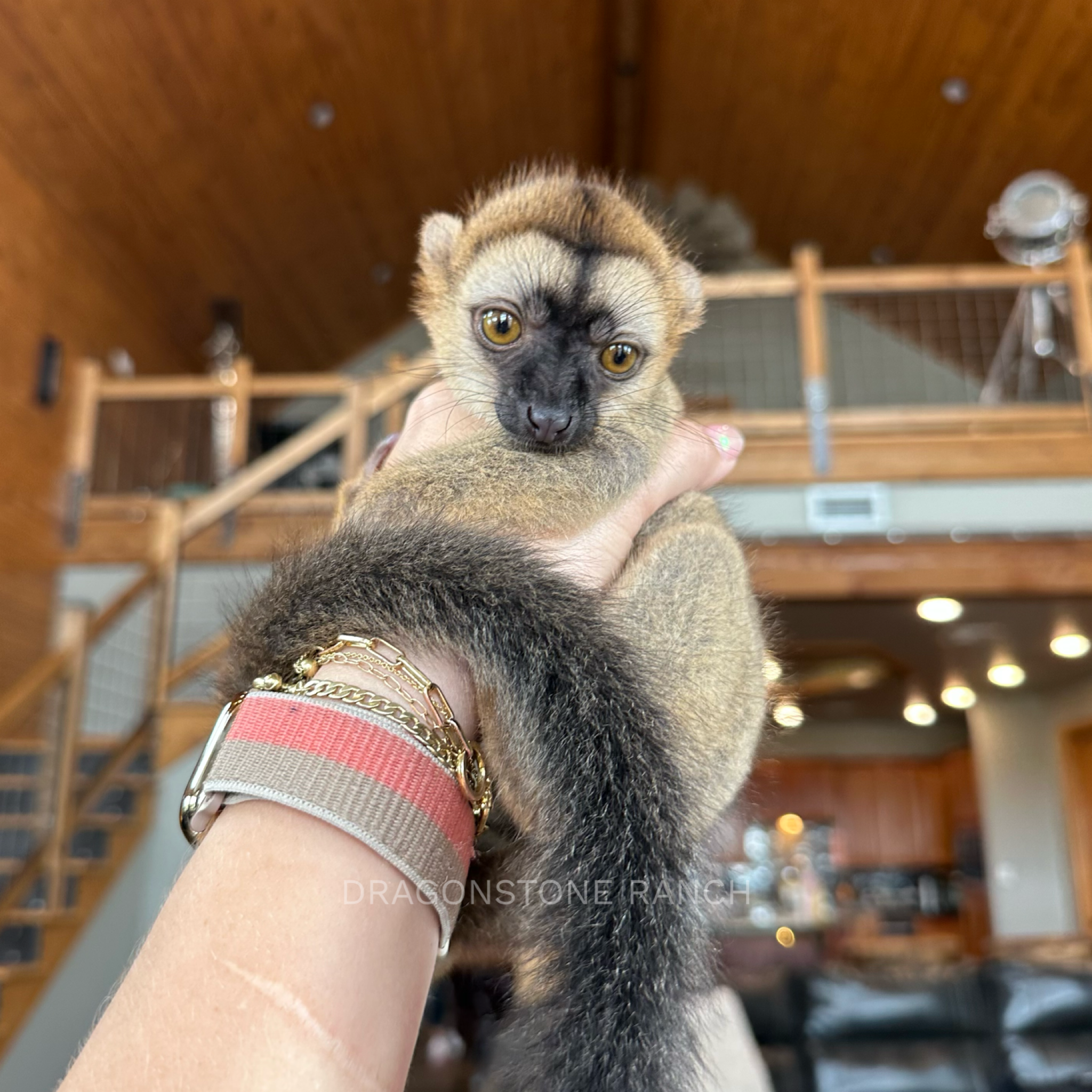 D2CB323C-8969-4C65-8BC8-90CDD9943C6B