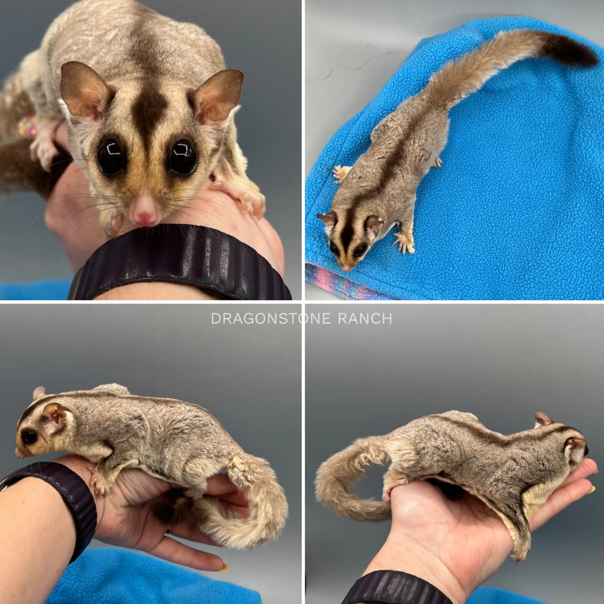 6B7C673D-2409-489A-BB25-1AA5E697DBE2