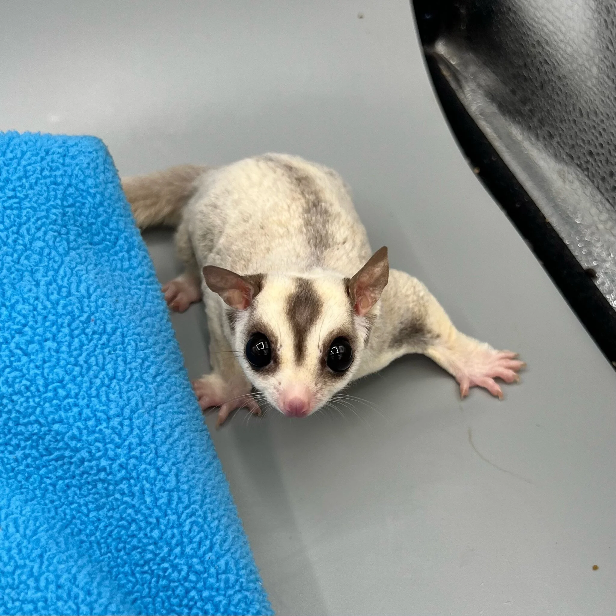 77C2D793-C5C0-4B72-85C0-F7983C4E75DB