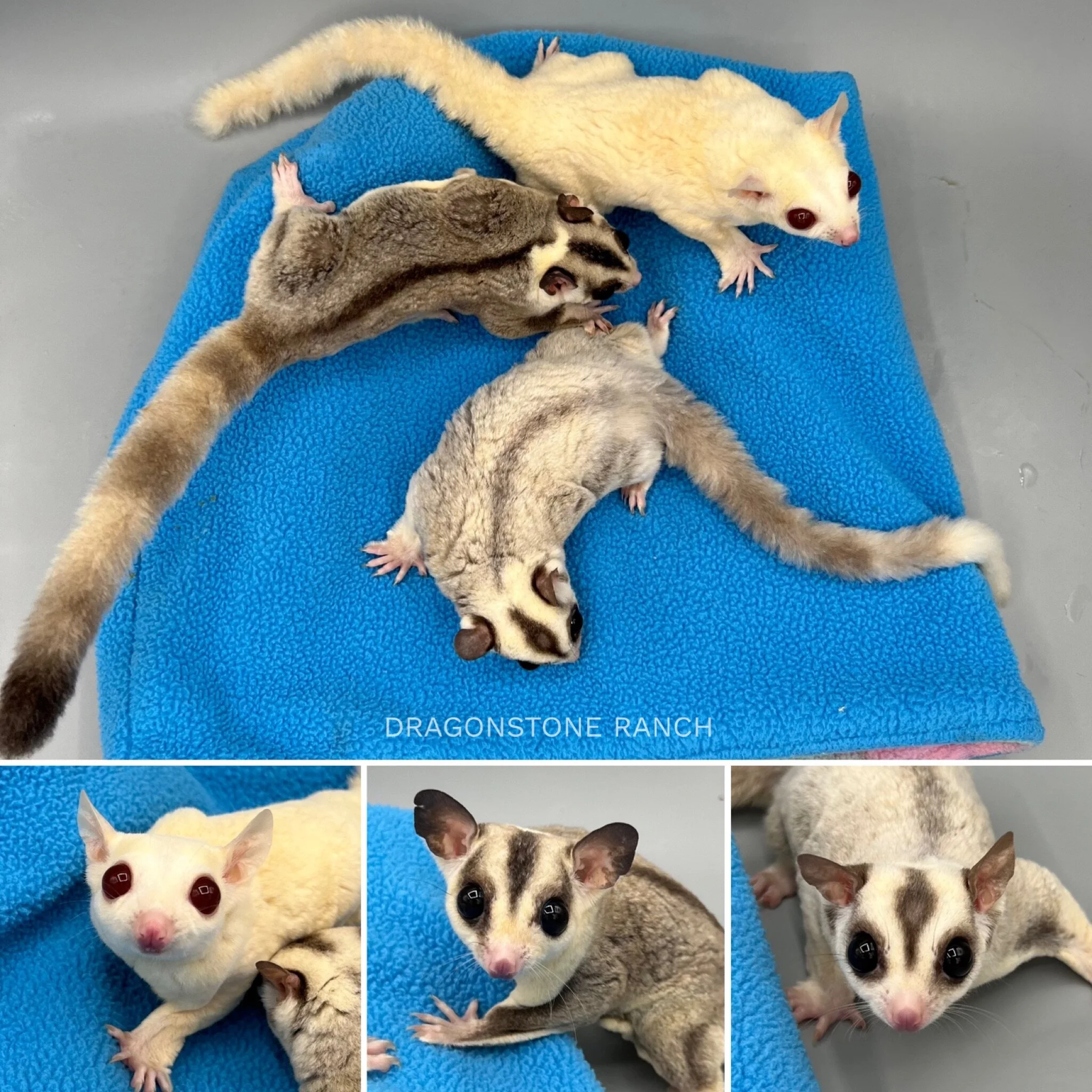 34108356-997C-4D07-8A5D-35C3CDE6B04B