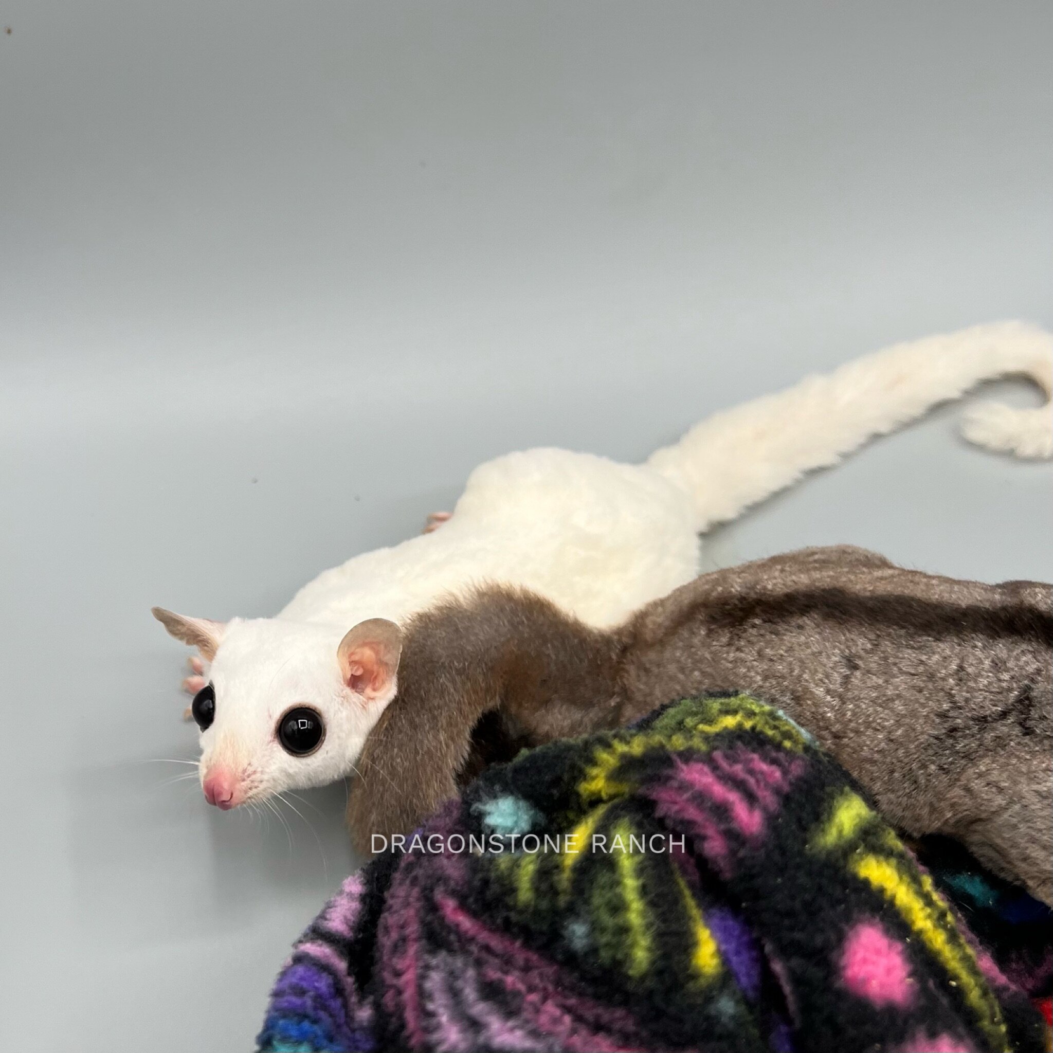 E9DA0AA2-5CA8-4483-BCE7-E60D129E361A