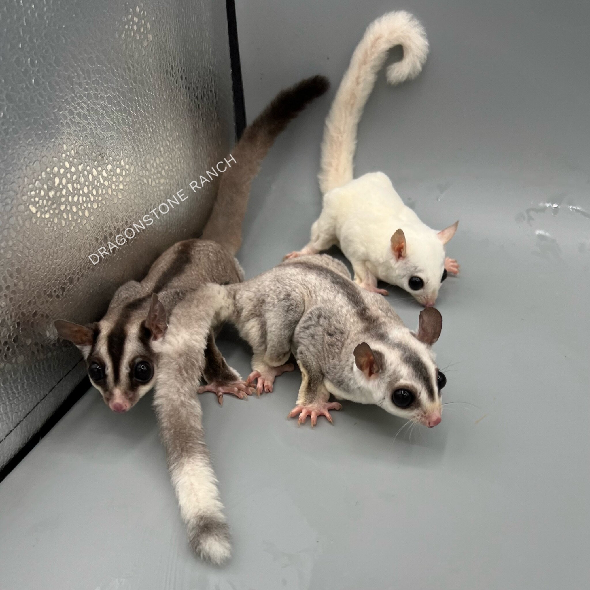 86706A56-F17A-4341-9020-8ECFBEC00529