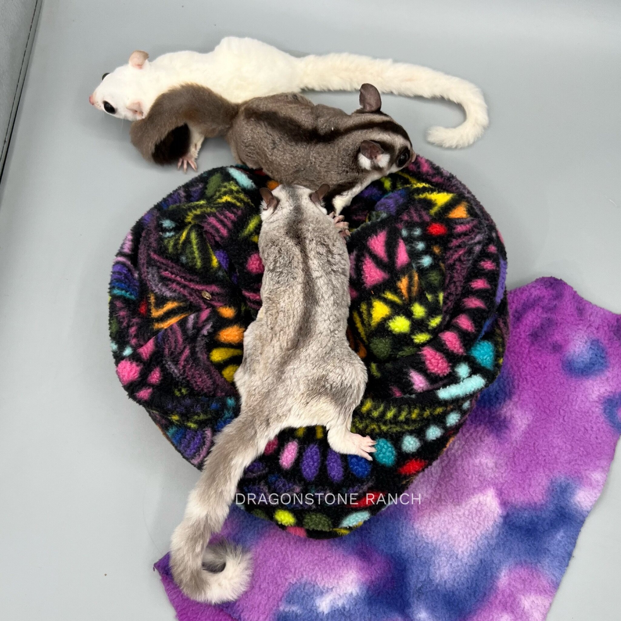 A44B9B08-822C-438F-8638-0EFCCE7DD19C