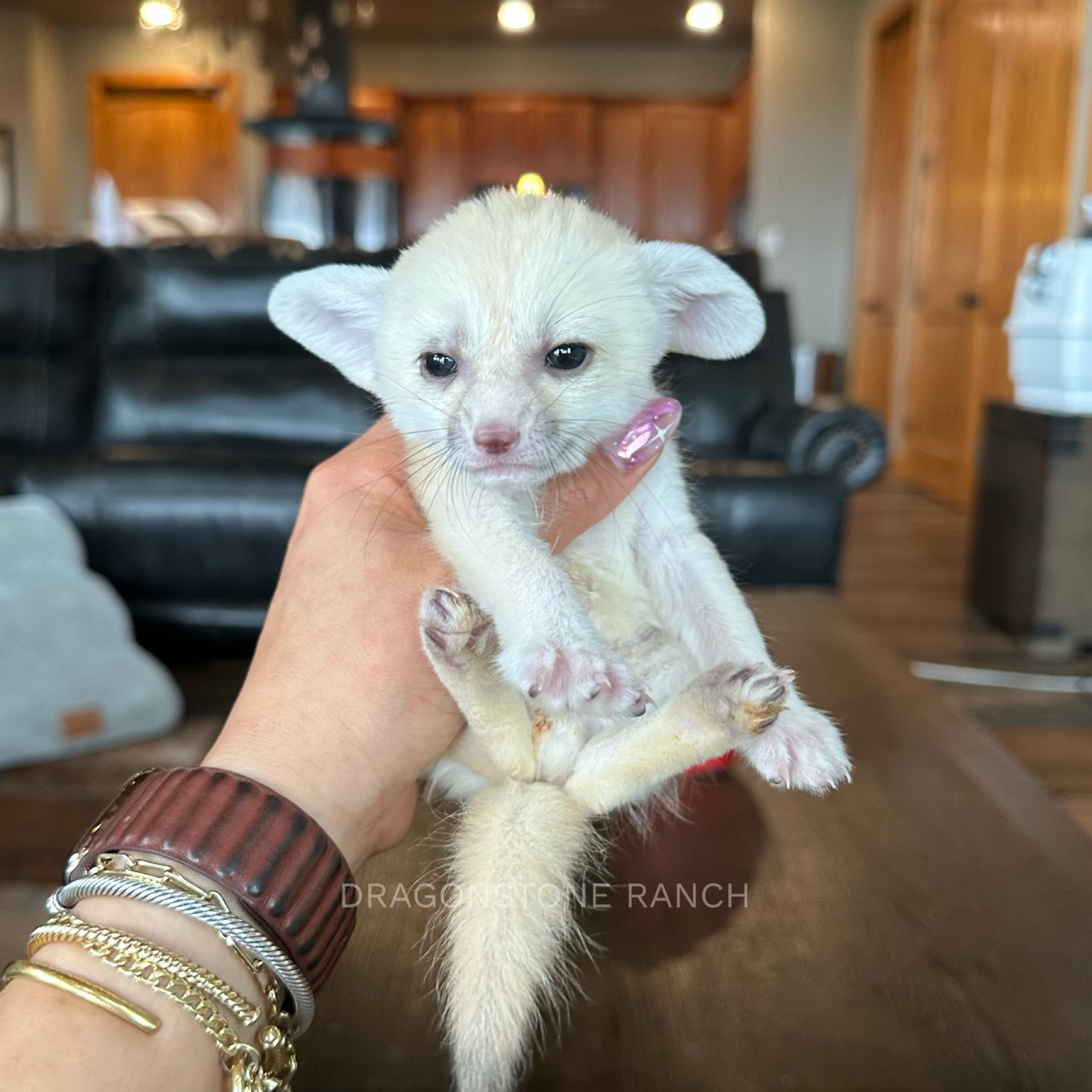 F4471B04-C69F-474F-86A5-ACF311E4085F