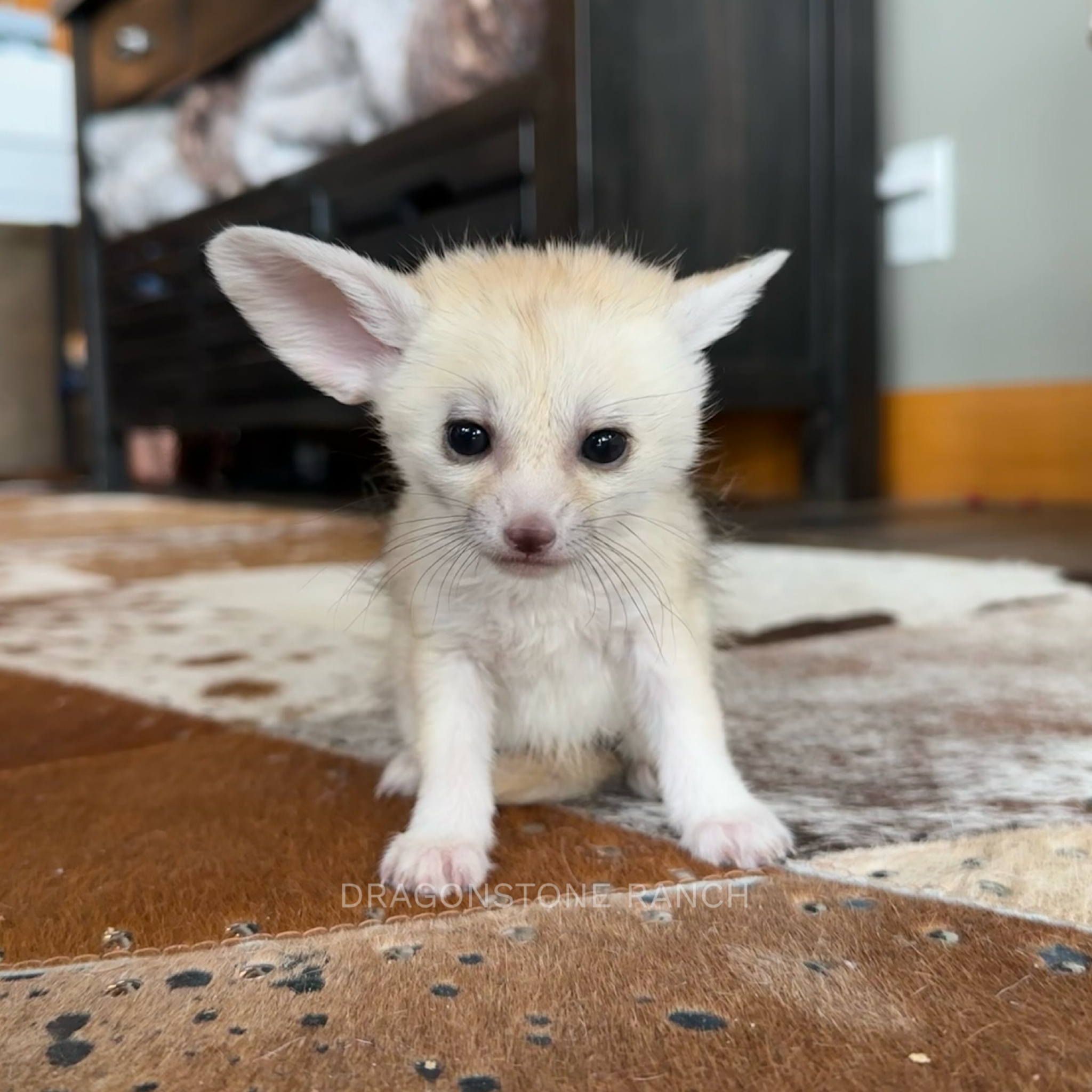 899E7F40-ADEA-4956-BCB8-12EB1811D350