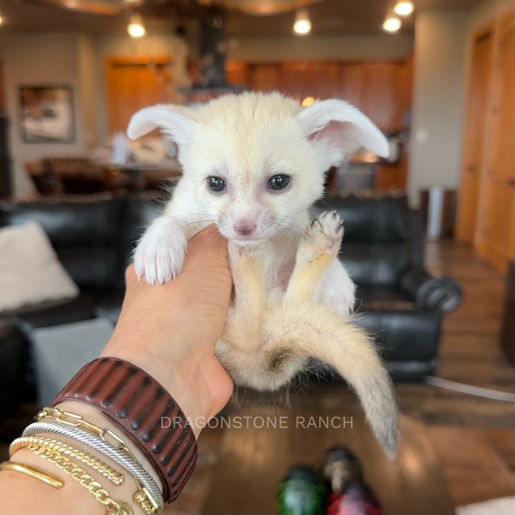 A359FA65-4EB5-454F-AD0A-F29ED2BC78CE