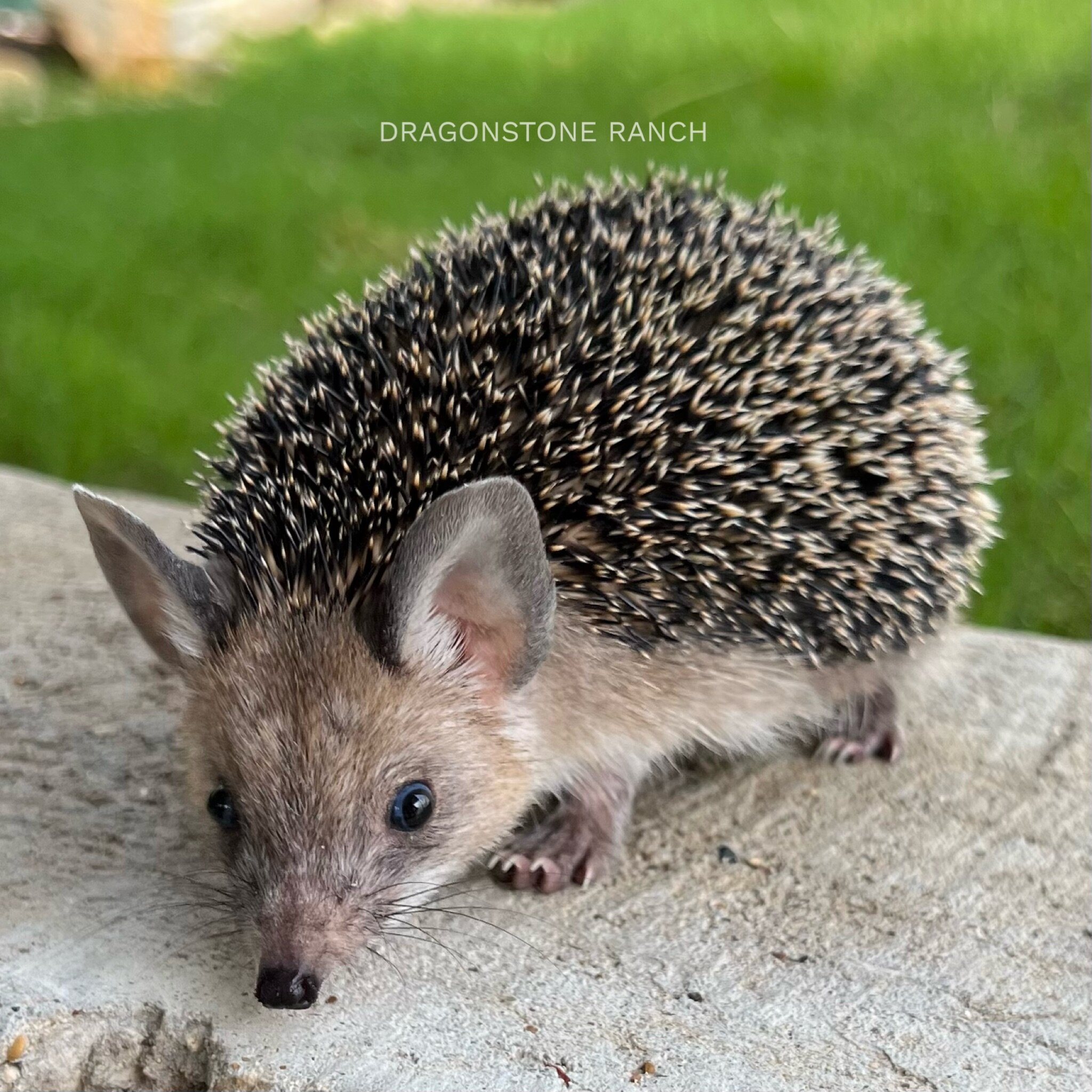 6011AF7E-196B-488C-84E1-21F2165F89B4