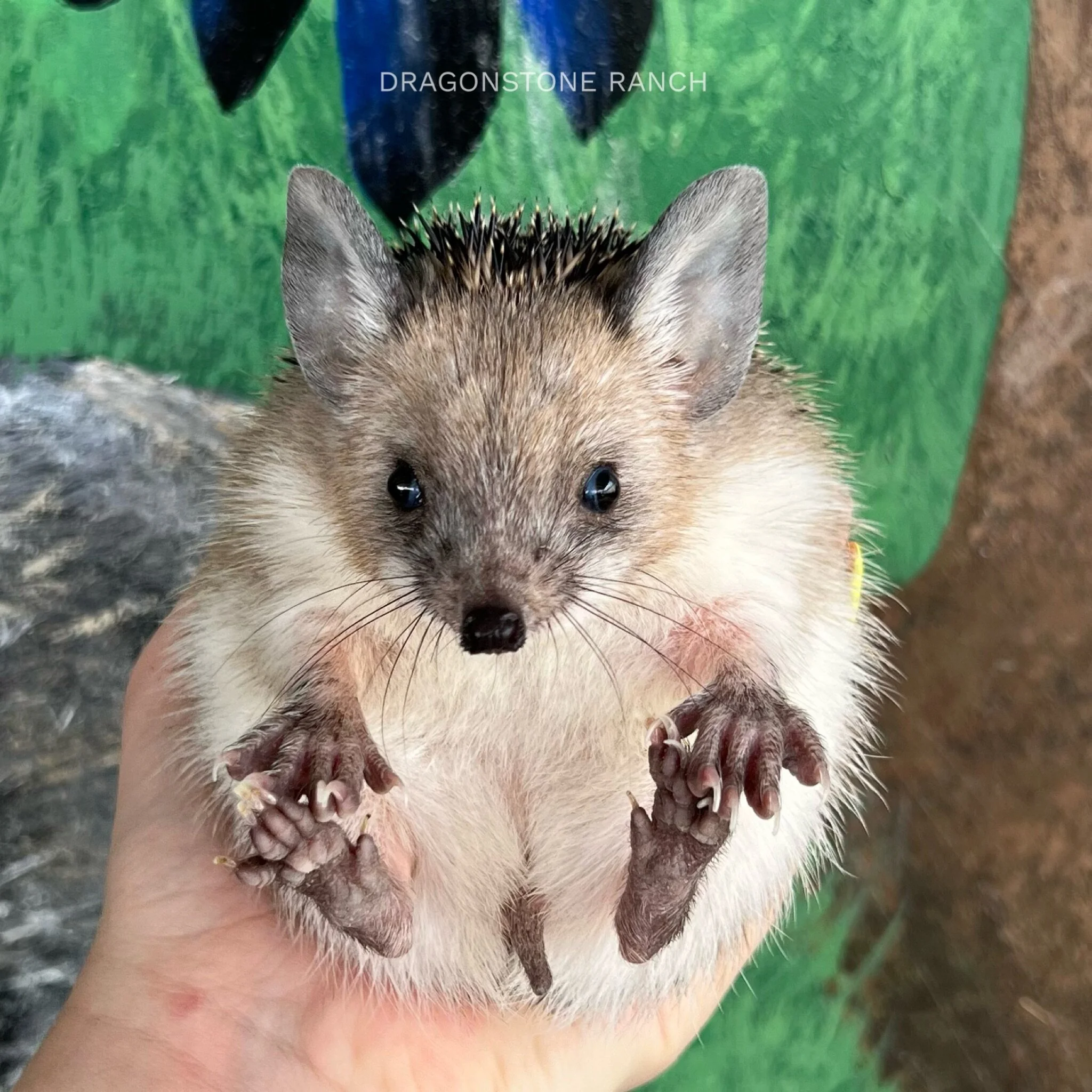 459CA95E-DEDB-4A91-B99F-F6F3A769ED04