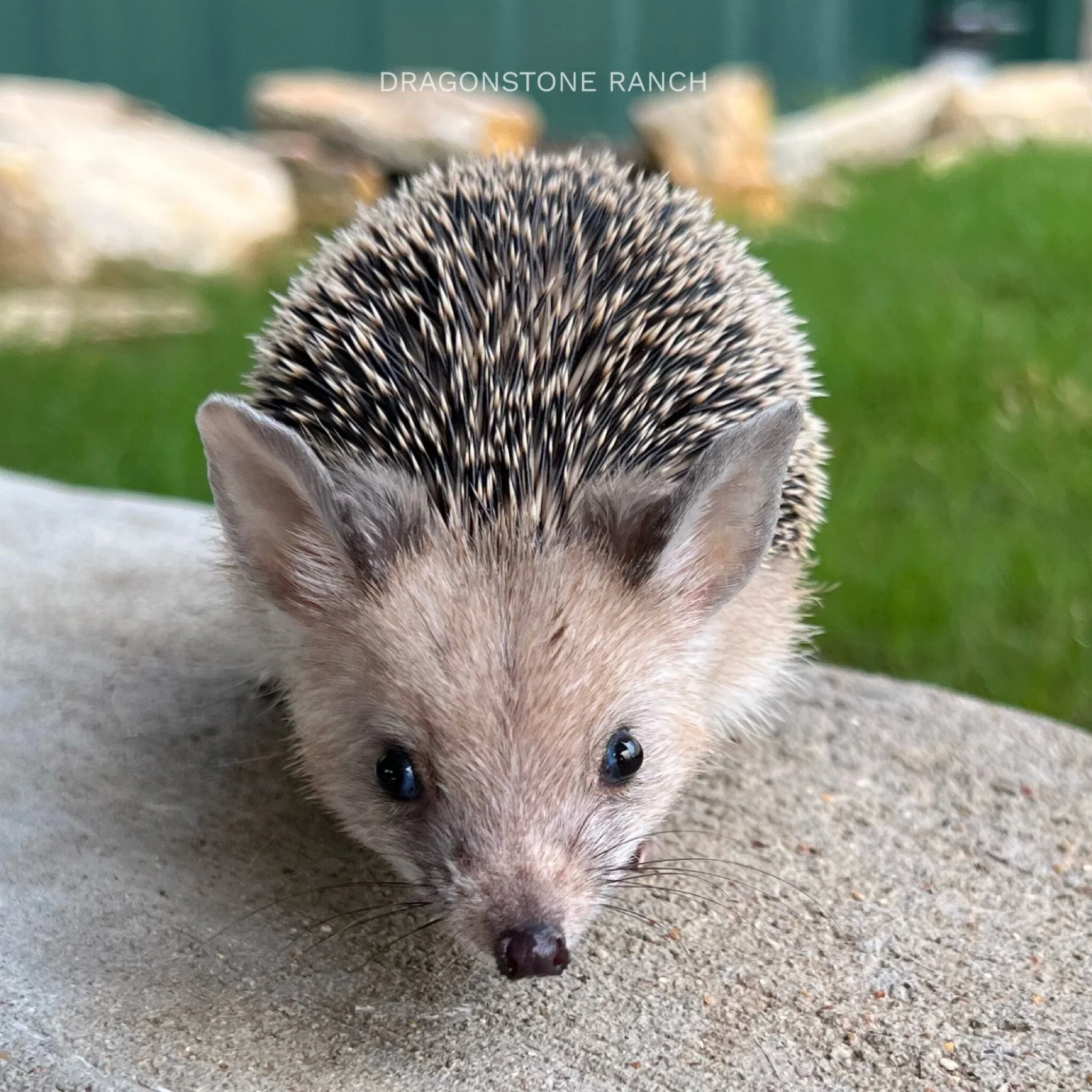 82847954-2B35-4EE4-917B-F429B842ACD9