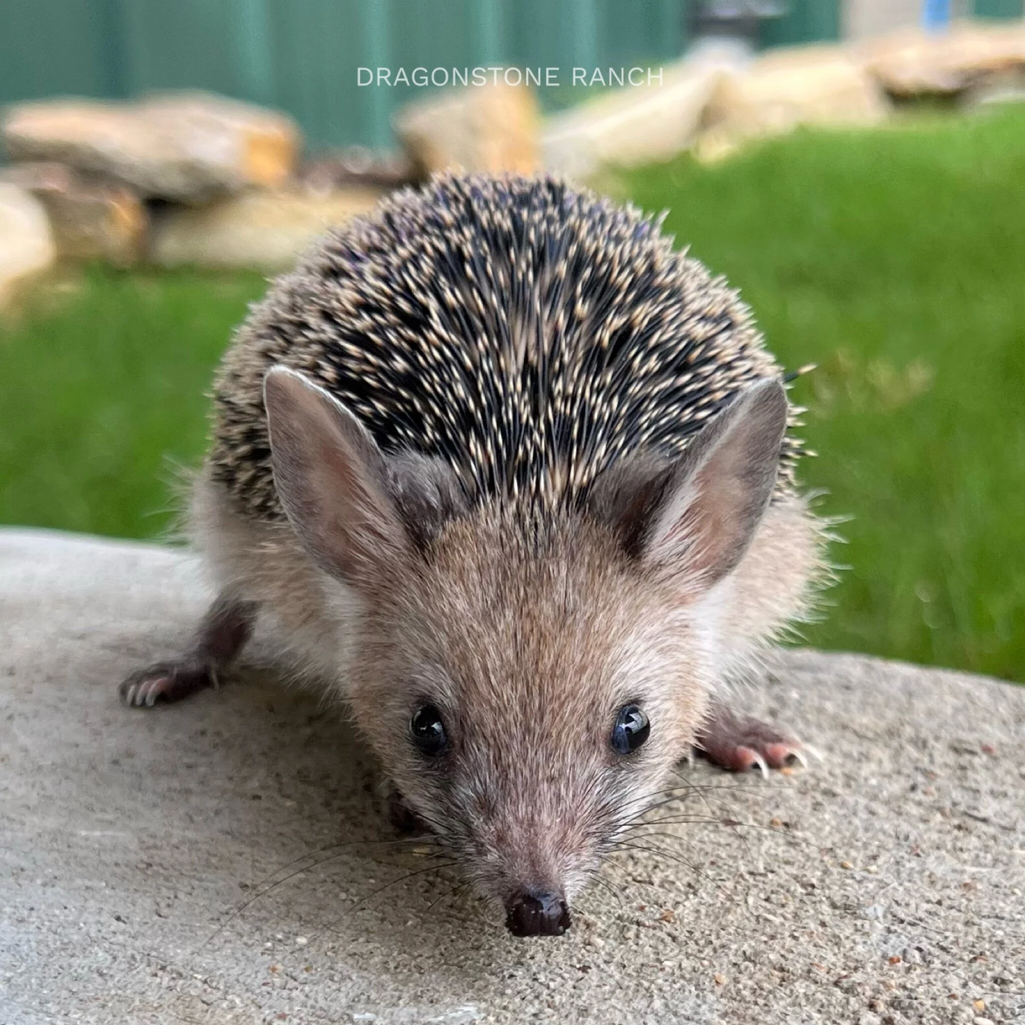 1E0ACD39-3ADB-428B-A9A5-26CFAA867DAA