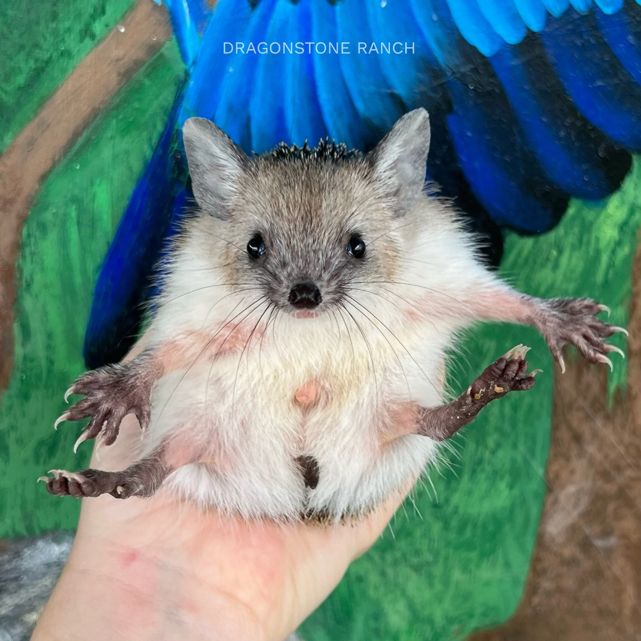 EE6D35C9-8133-4F92-B978-B5971EB872F0