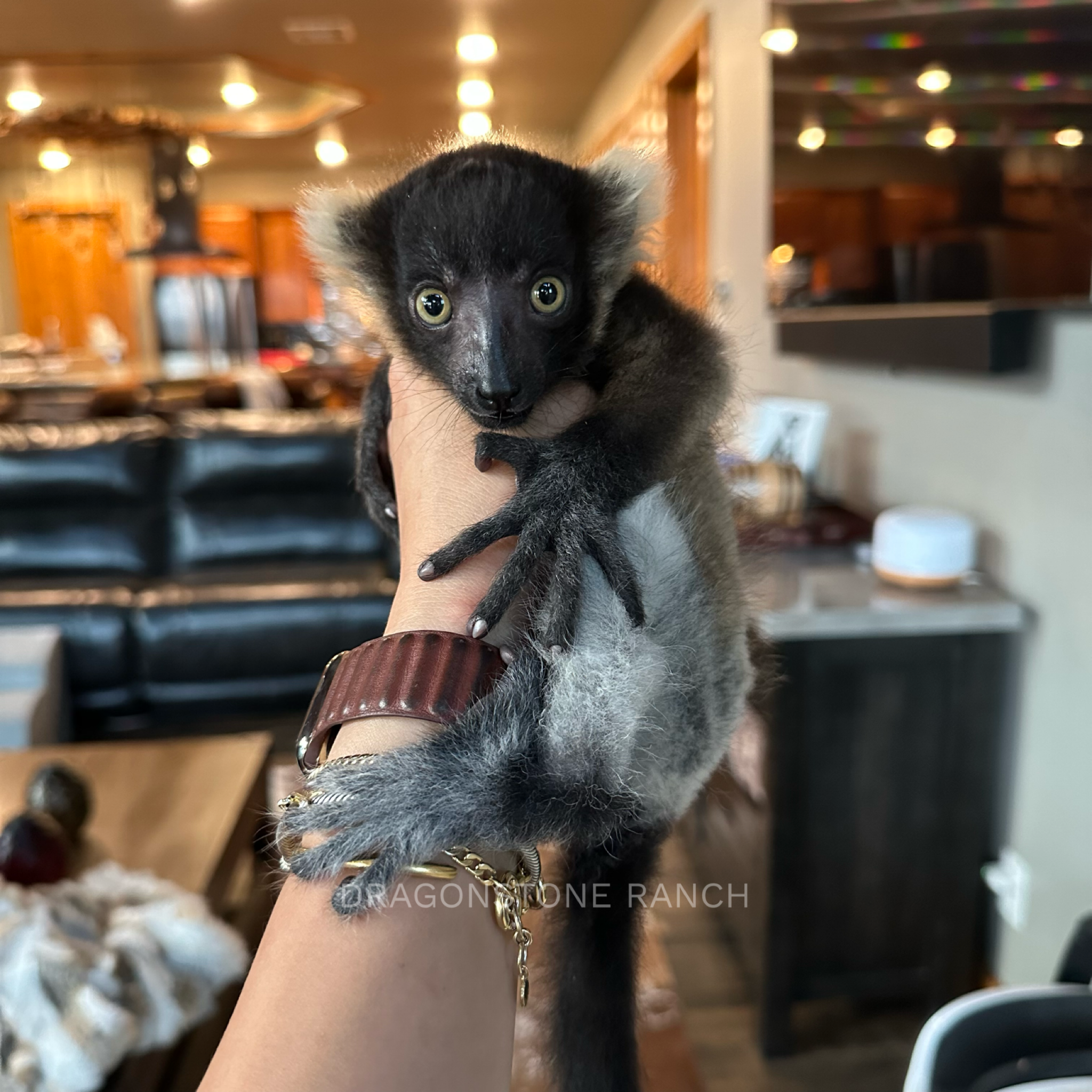 9573988B-0A19-43A0-A0CF-FAD62900010E