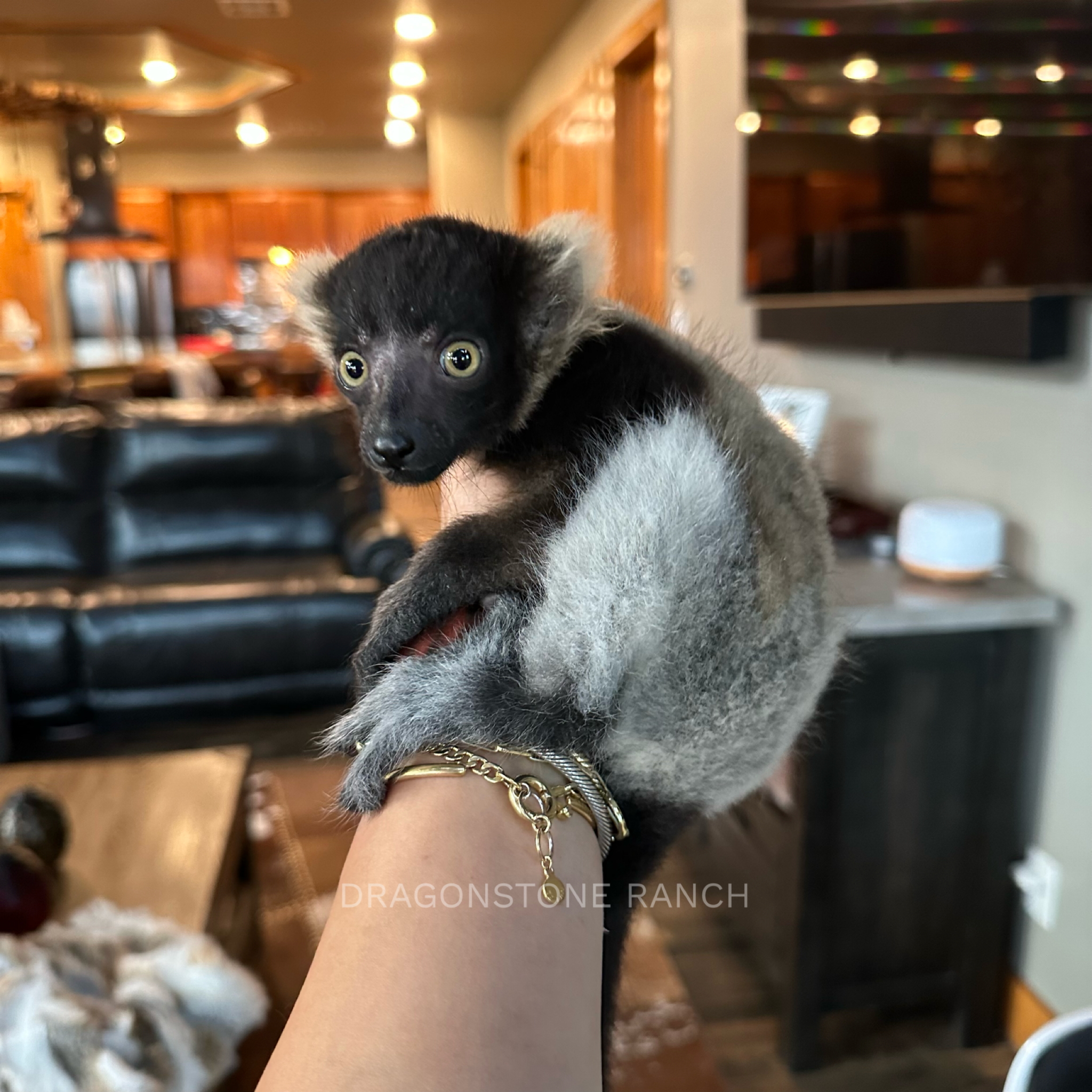 6B9AE3F6-A427-4E50-BF1C-EF3DD6871595