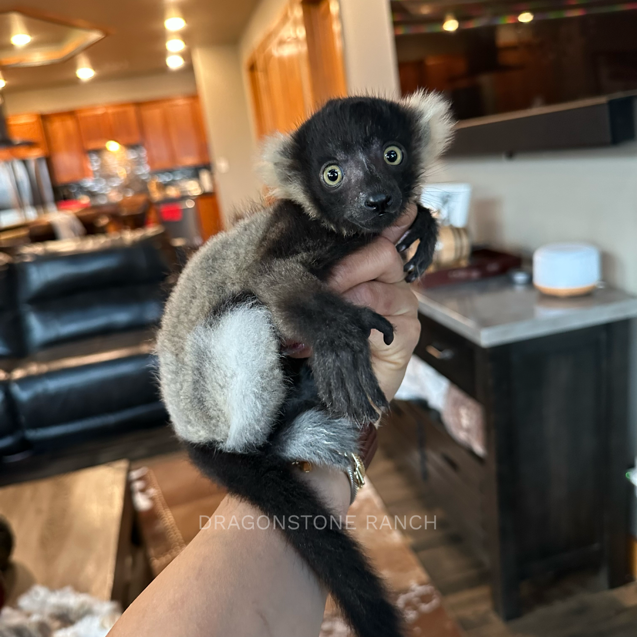 BAA3CD4A-67FA-446C-A46C-9778B1581A8F