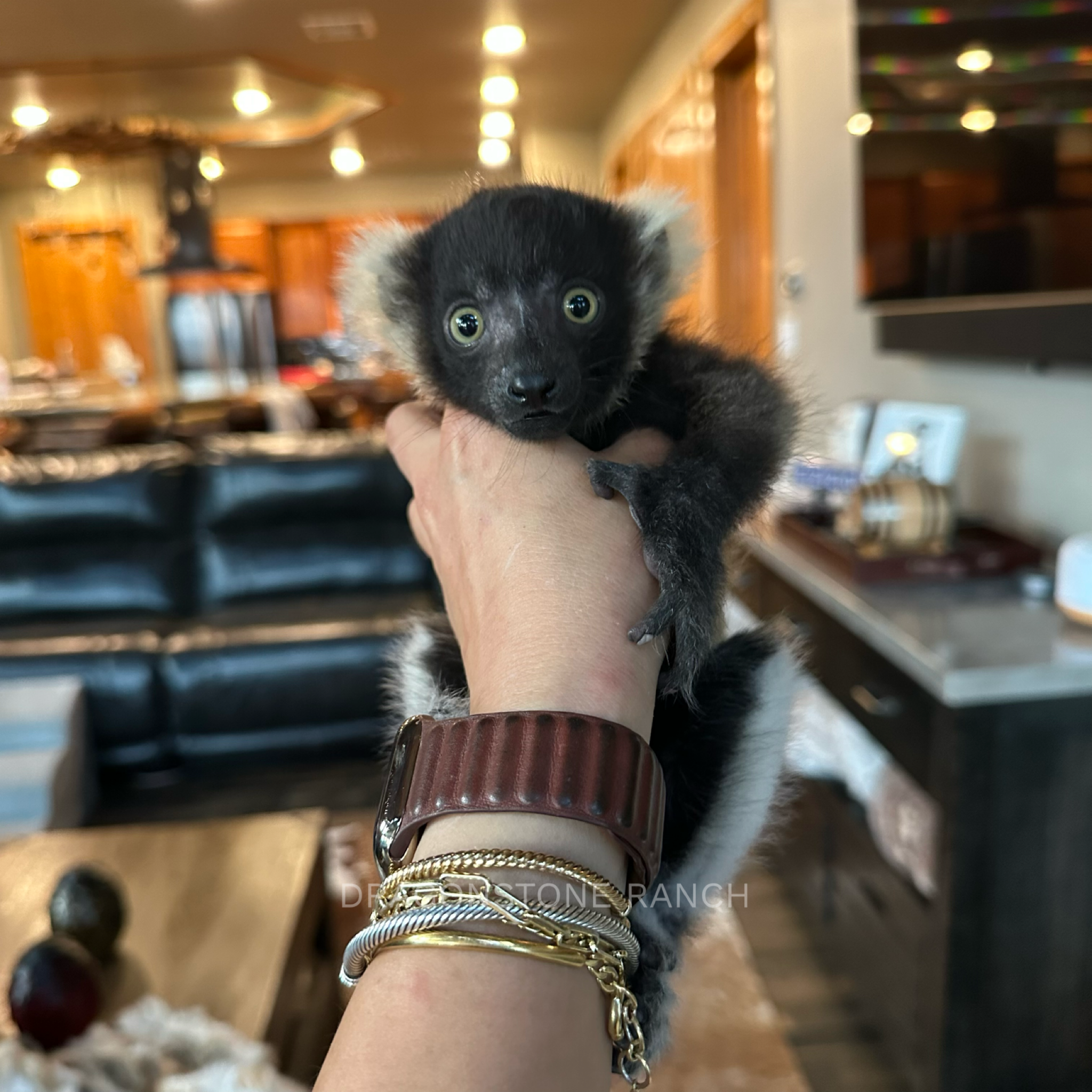 C5F73449-14EC-4F6B-9826-8CAEBF6783E9