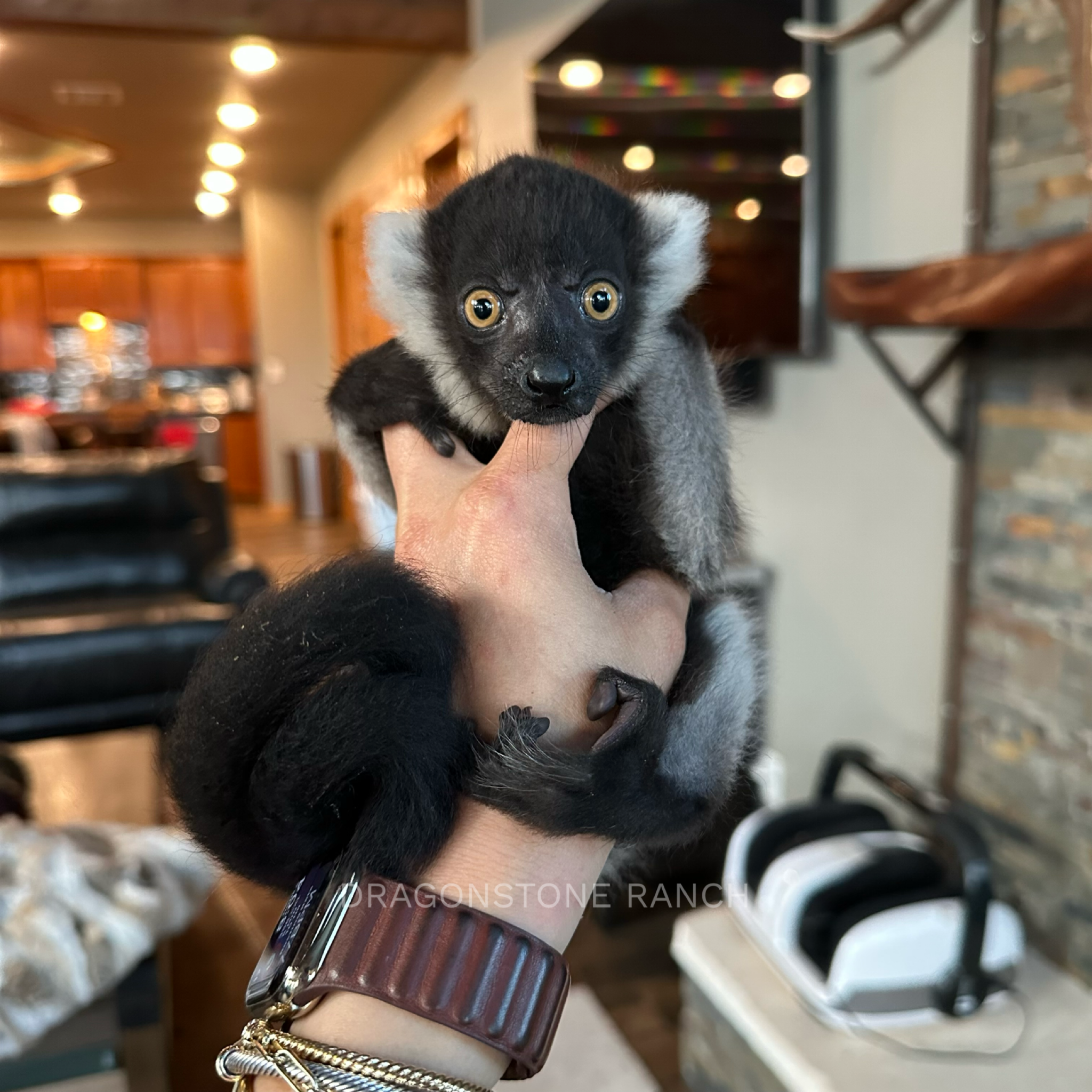 0DC8CF97-6A7B-4858-BB8B-84BC0069E563