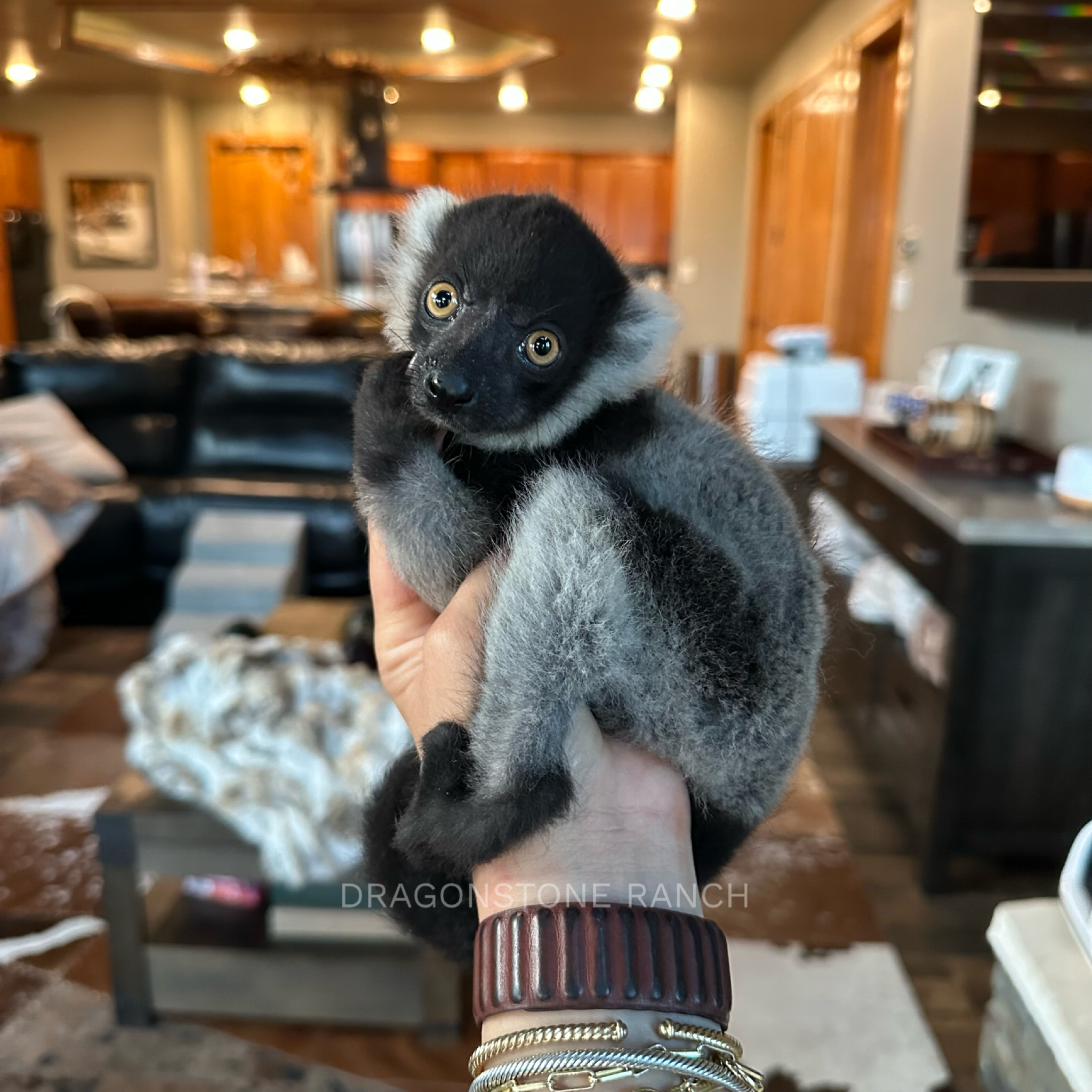 CB54DFA0-07B1-4729-A57B-F4FBE0936B98