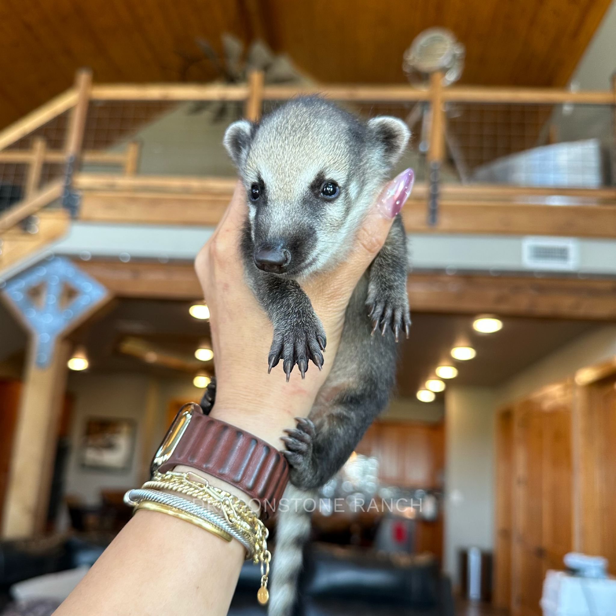 0FDEF61C-22DD-4ADD-8833-D7C049C1148E