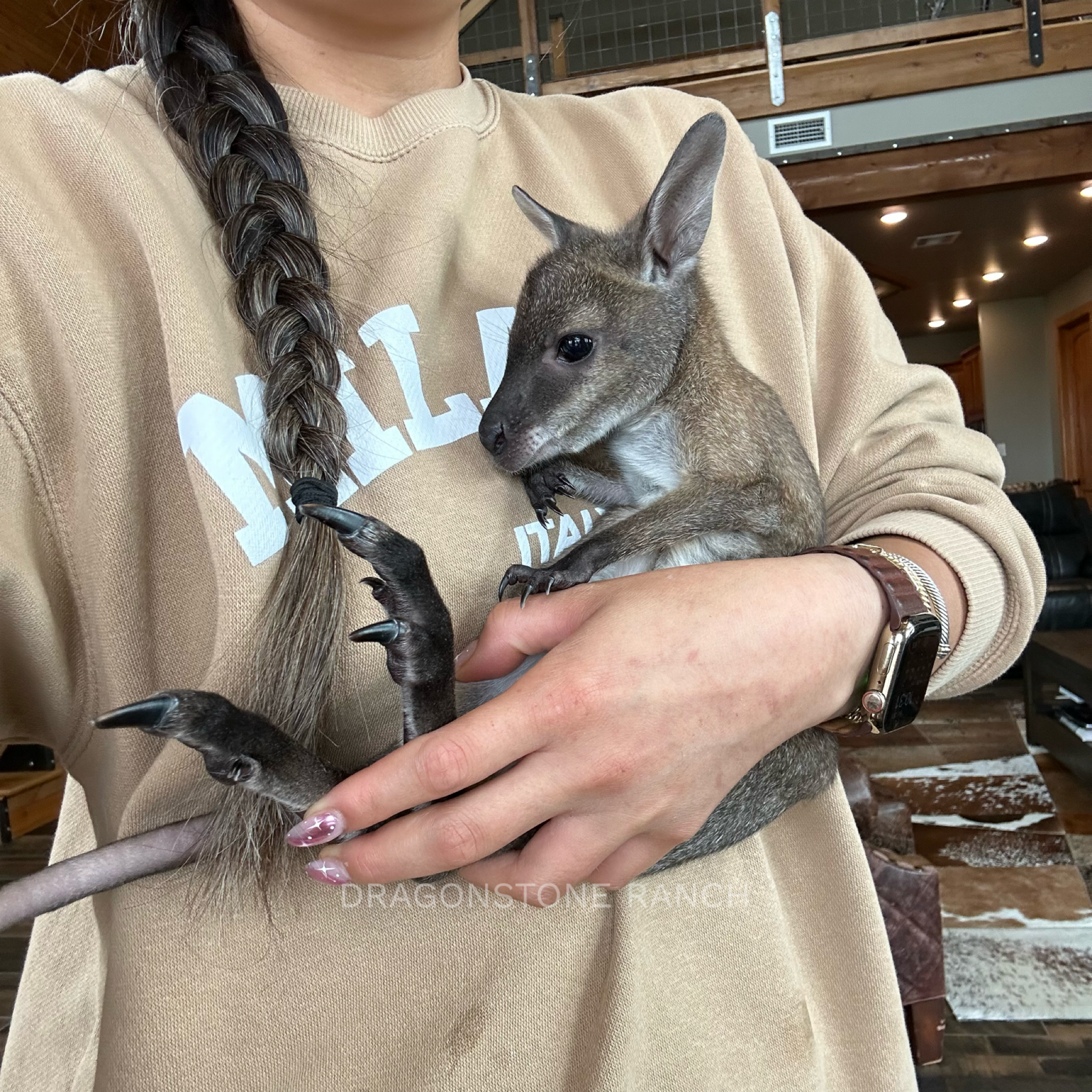 A709B8A4-93AA-40A3-8E5B-4DA63EBAF095