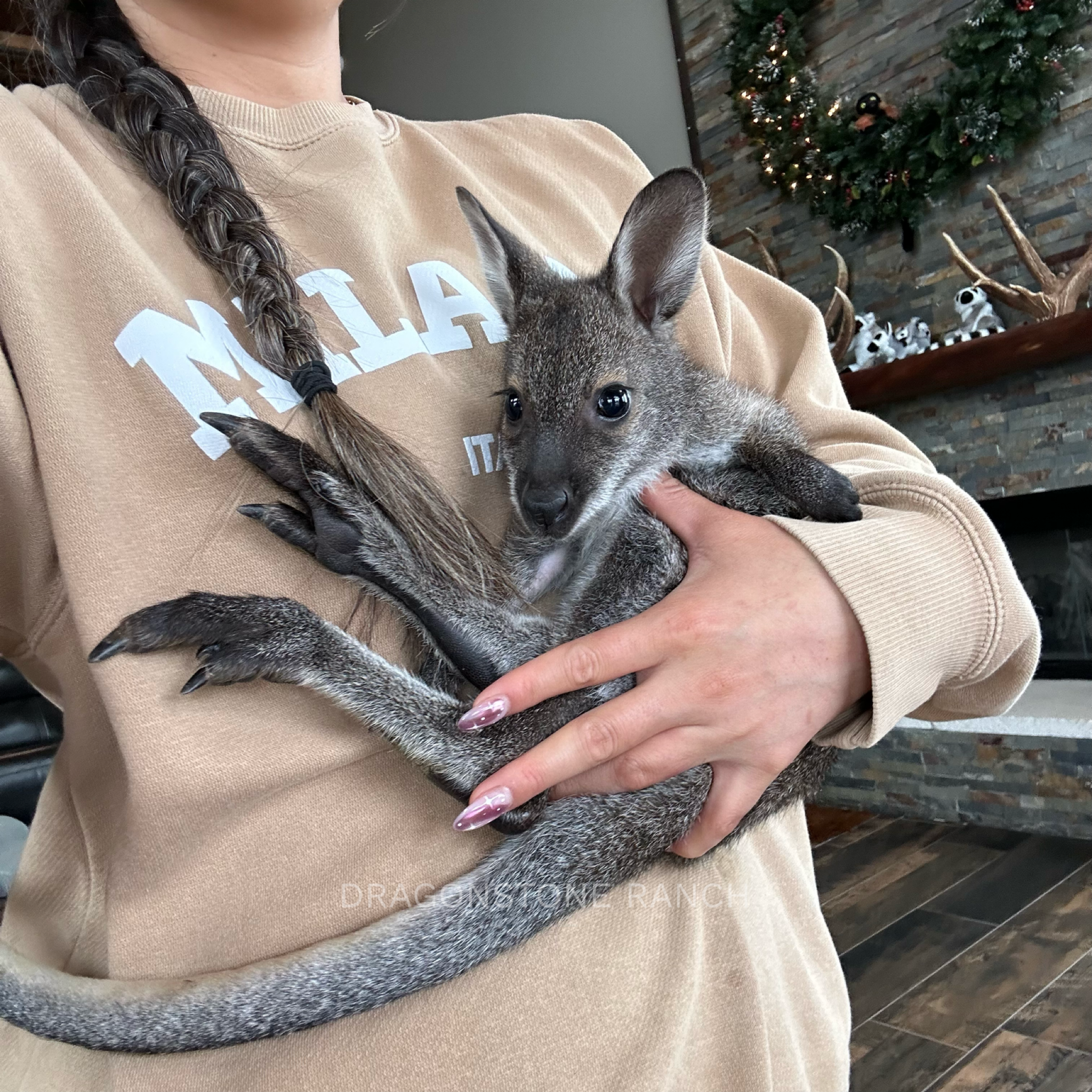 776FC9C6-0EF4-433B-87F4-7B8C486F3F86