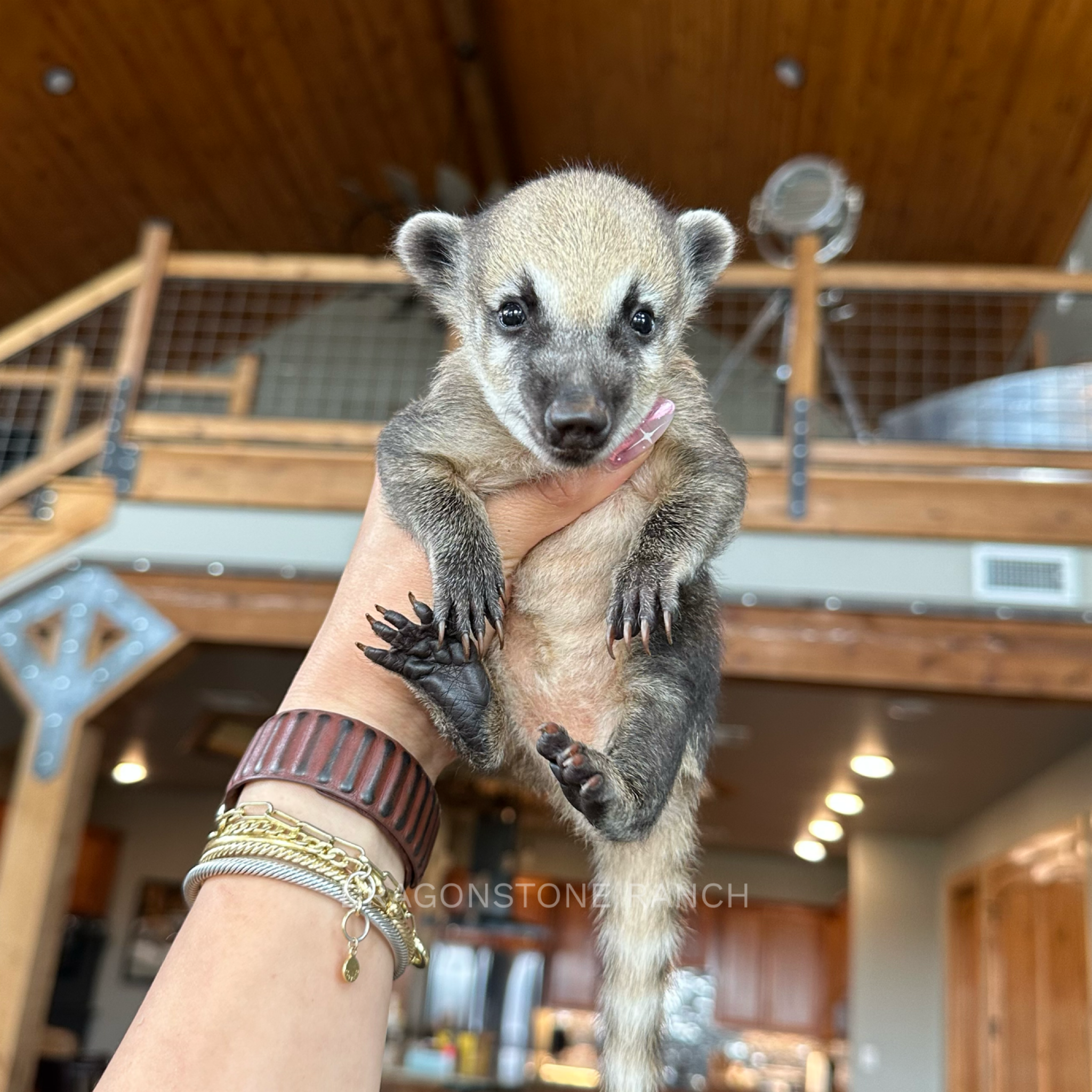 AF143288-8475-40AA-BBF0-13C1F22AB2FE