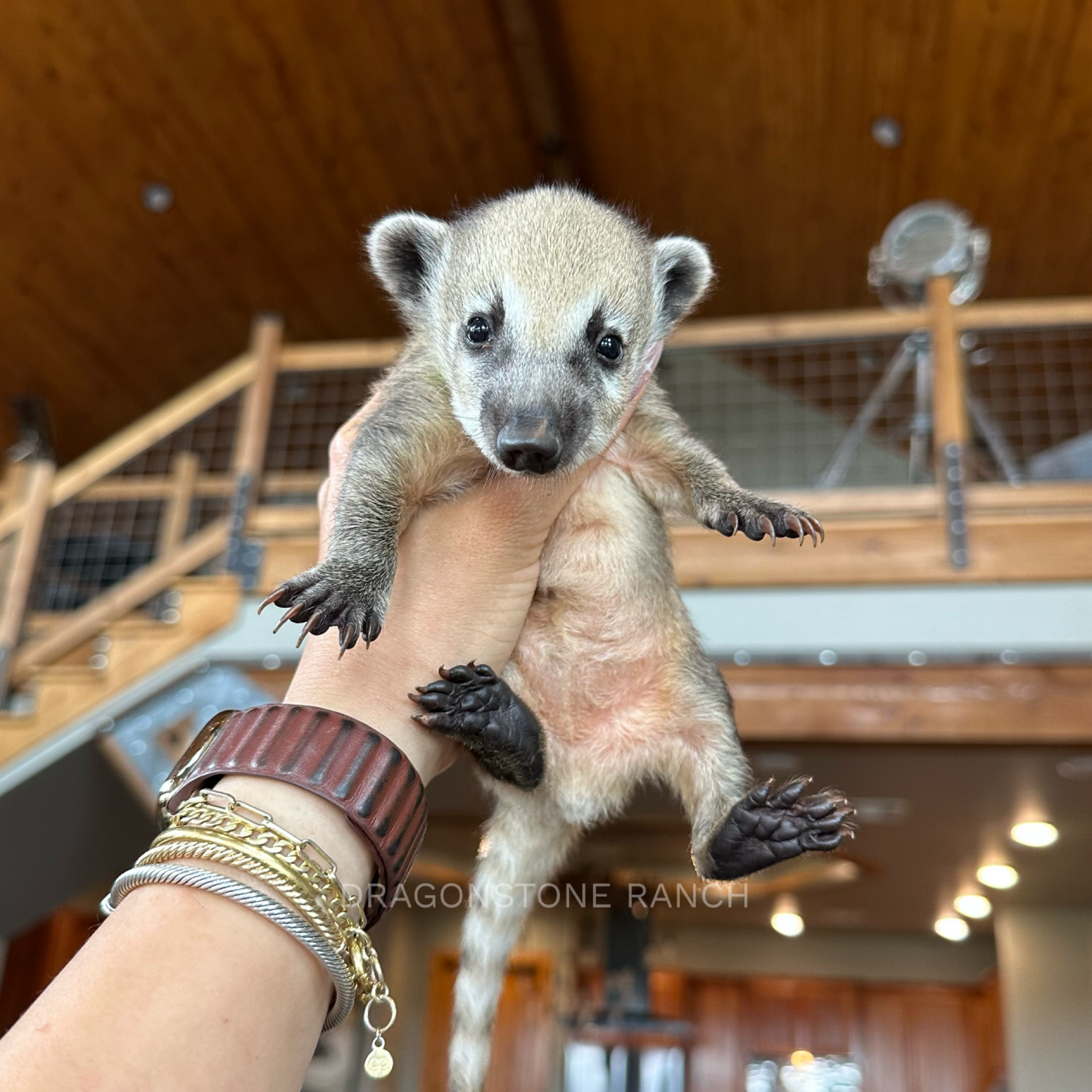 5CBA337A-6ACE-4672-92A9-574A73FD788C