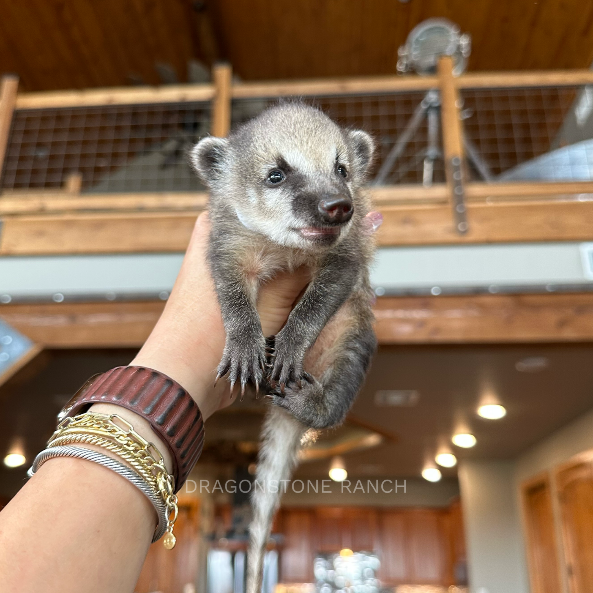 2917E4DC-248A-436D-882F-DCC39FE883D1