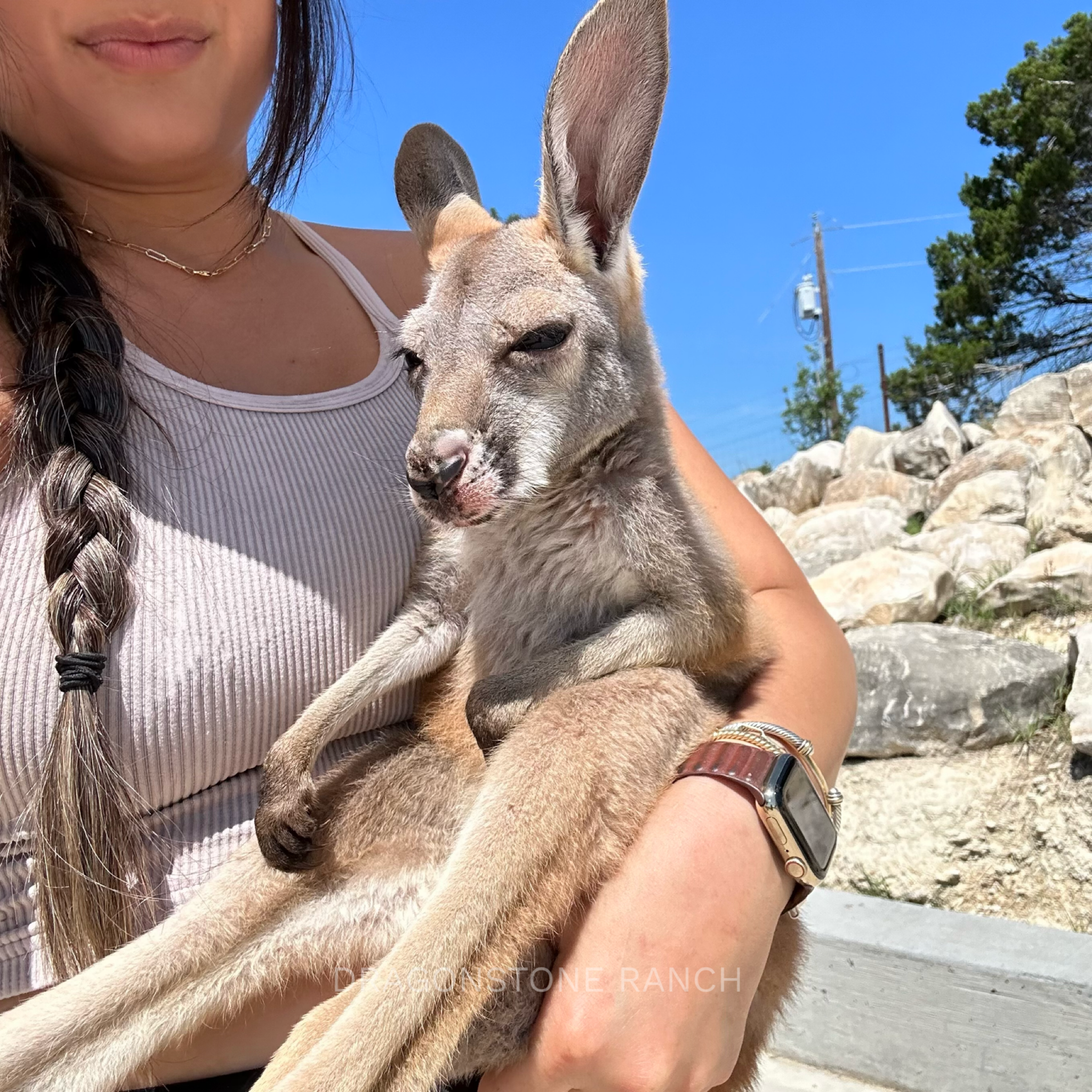 C1742385-7643-47B6-96E0-5D81EEDC9668