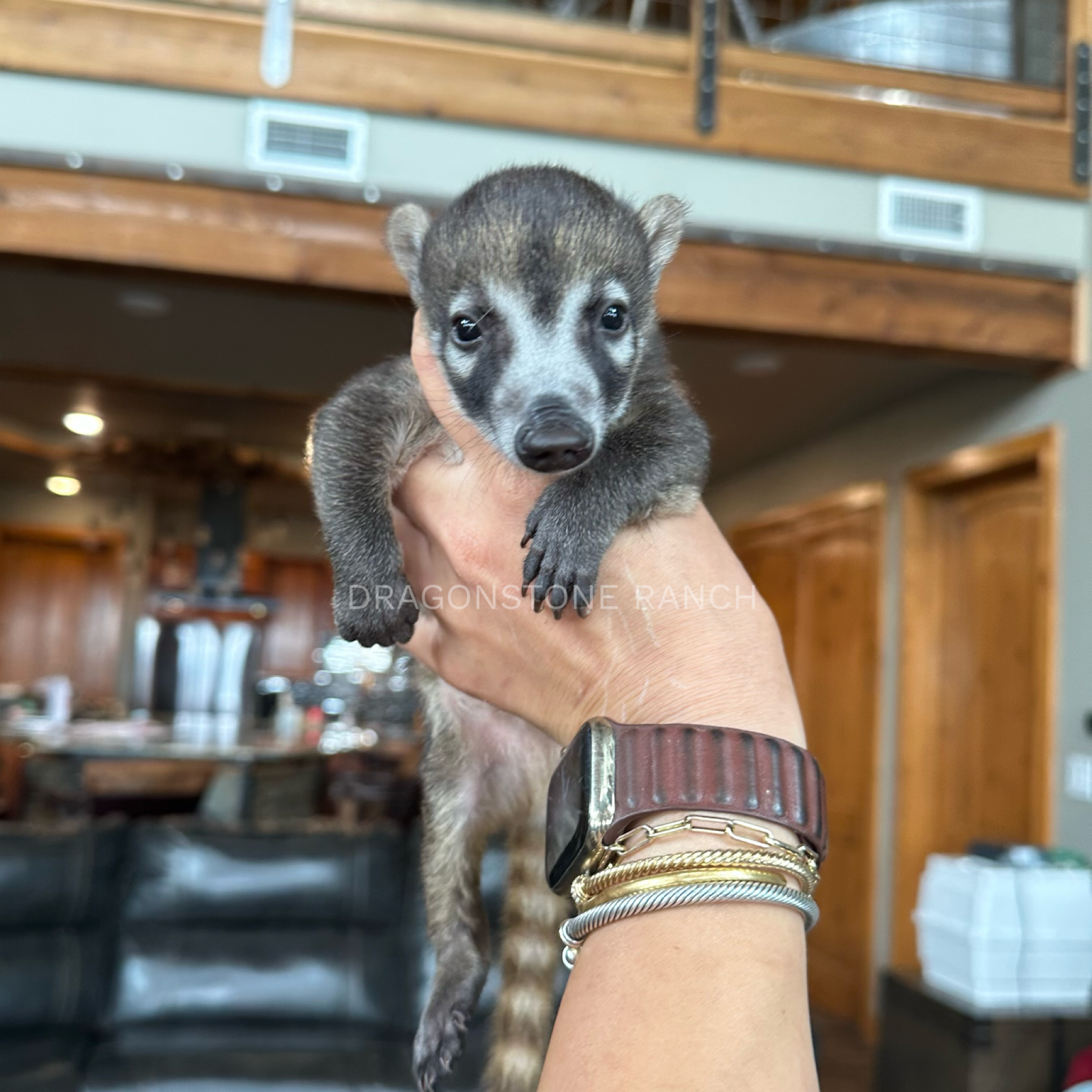 560C89ED-3945-4A46-B075-CDB94895CE6F