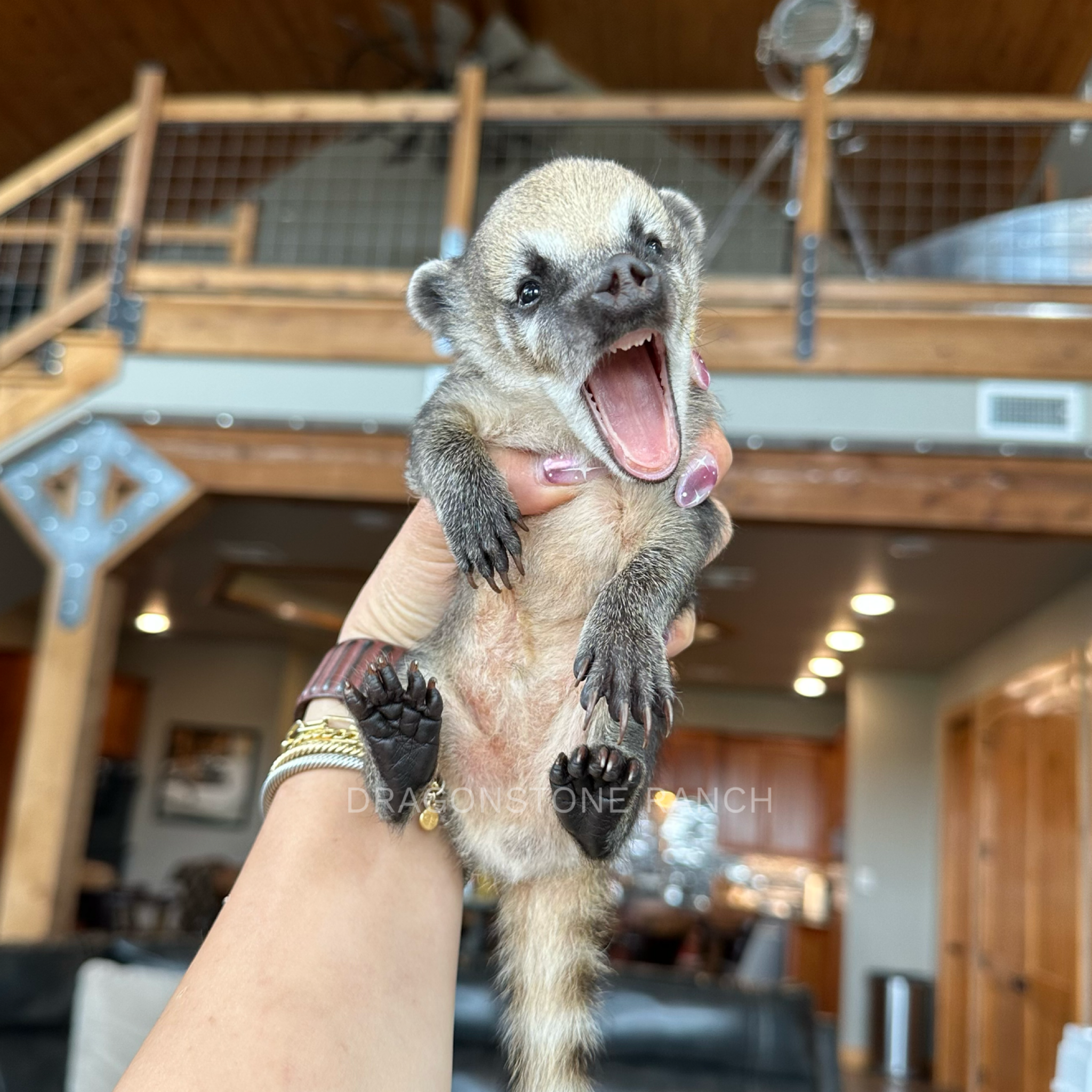 12E3D143-5A4E-4F4E-9B32-F92D1F89D488