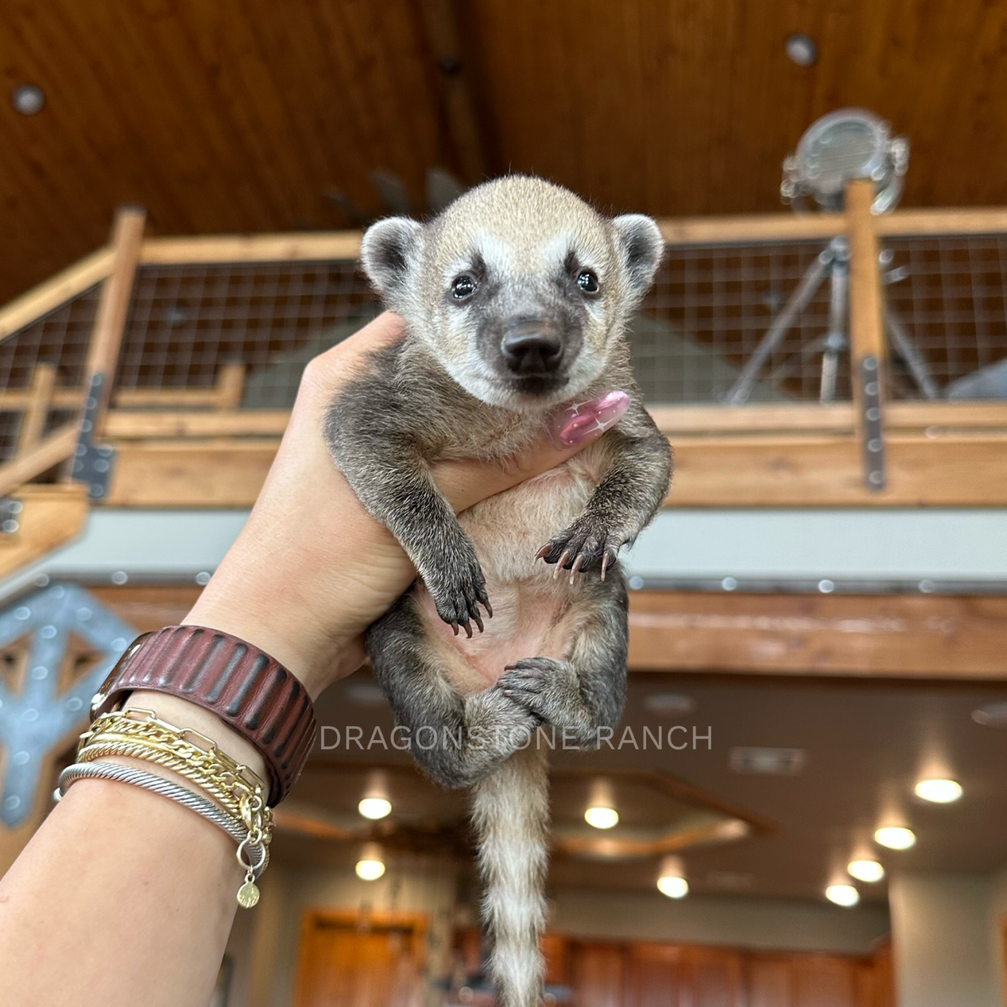 8F561FDC-B851-42DA-8B5E-F602B3ABEEA1