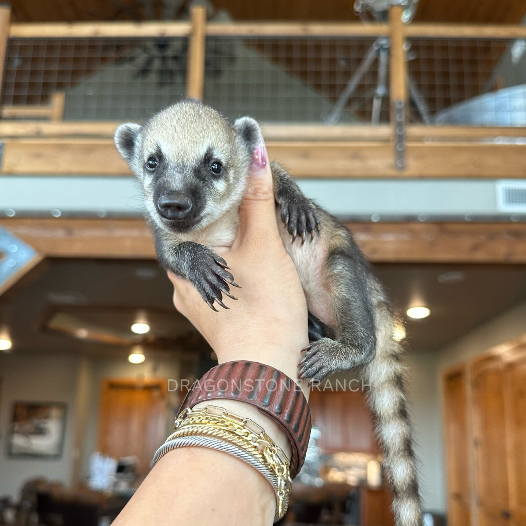 61C13C8B-363C-438D-9F89-101BED2171C5