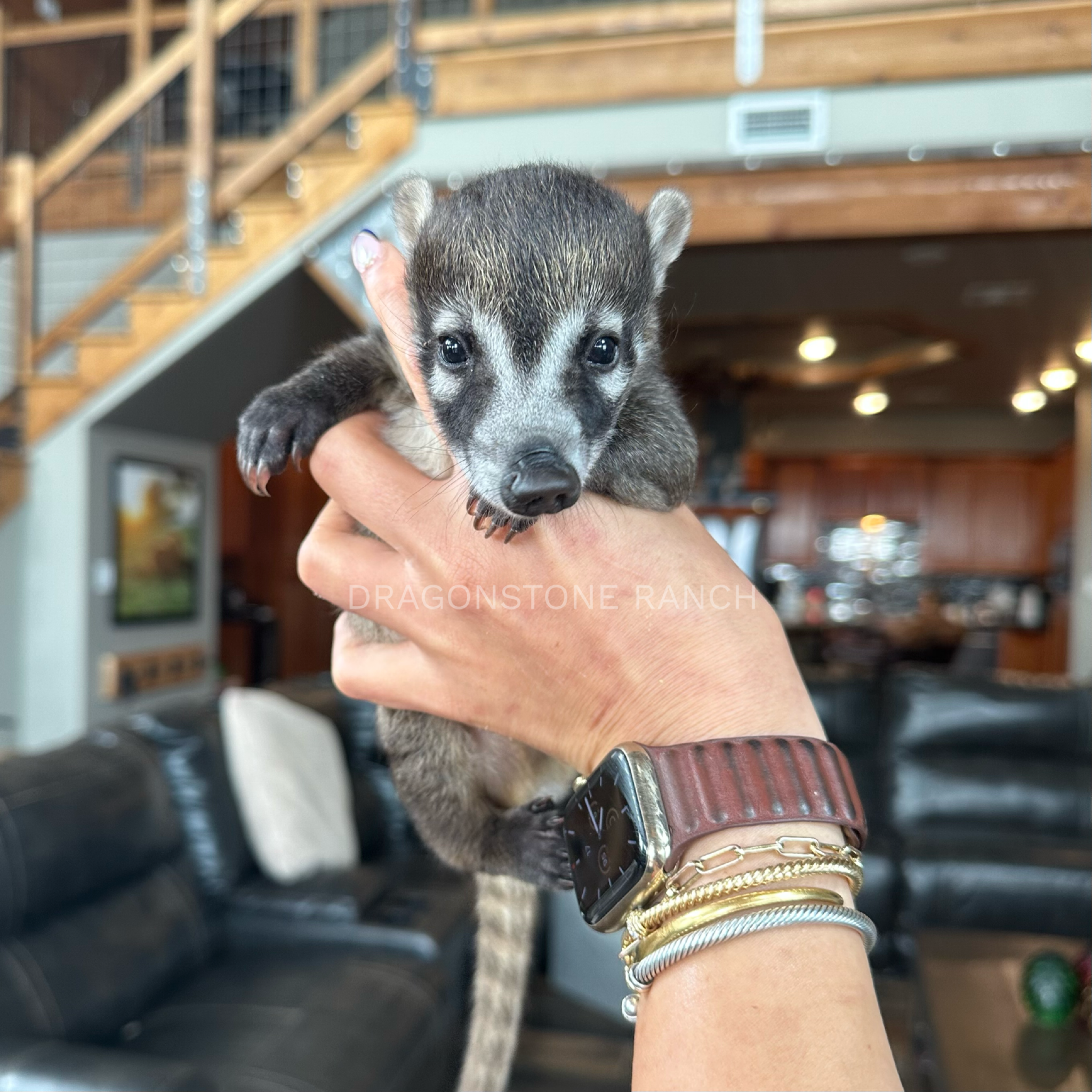 EA6C02B5-F988-4A51-9638-44A1BA205746