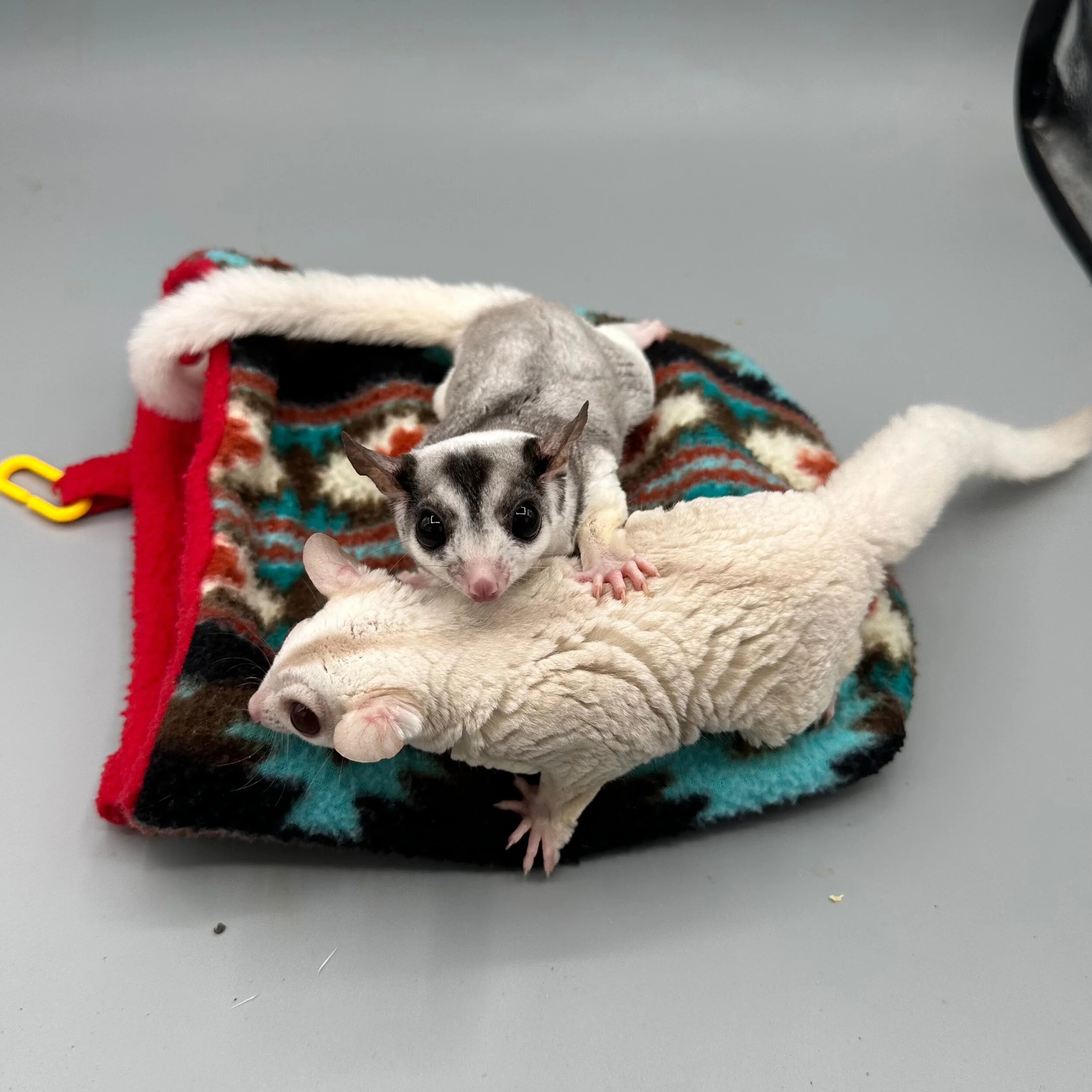 E42CC967-3E99-4A12-AE5E-A9C31051AF0C