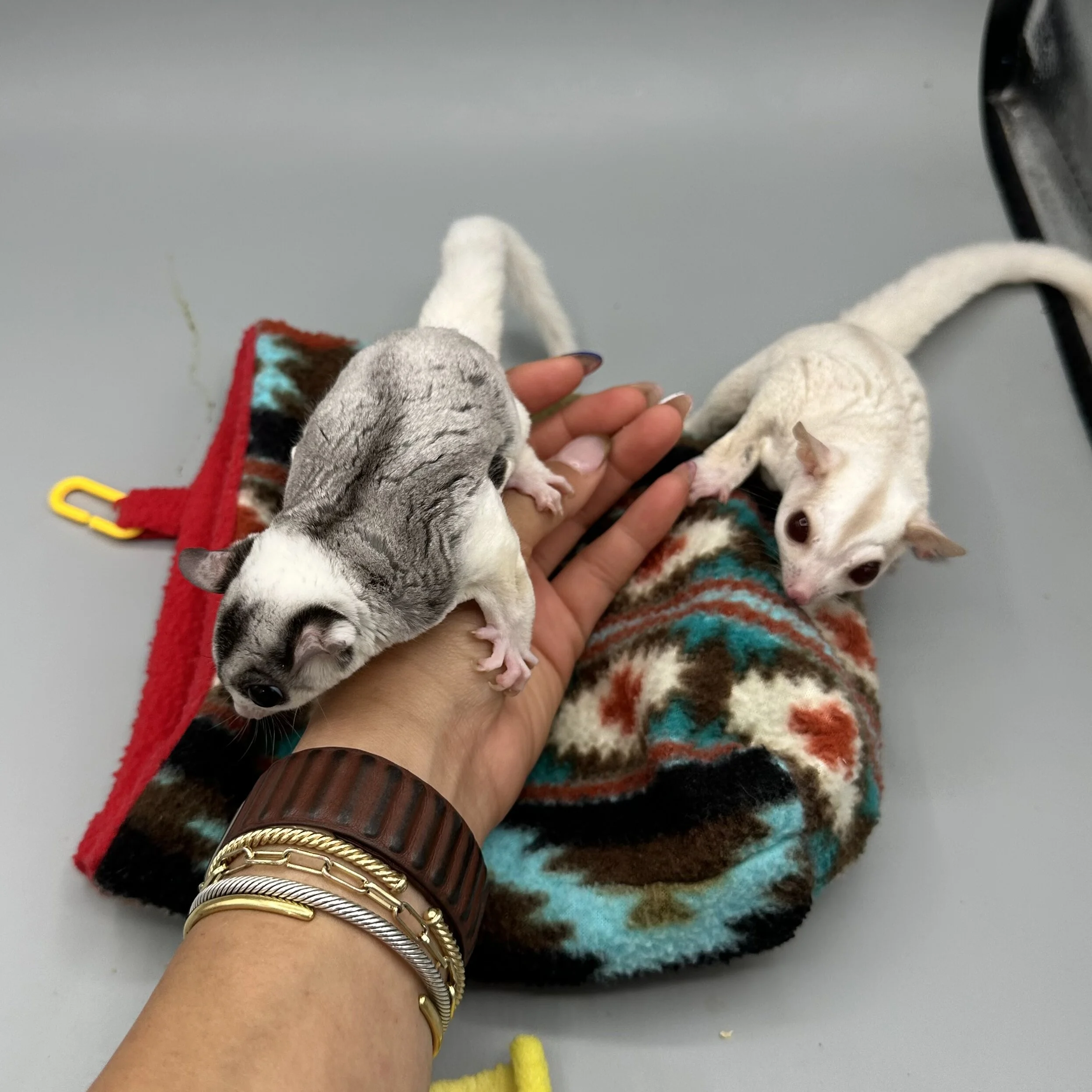 BDF4BA41-1851-4139-93A9-5EC8A279489F